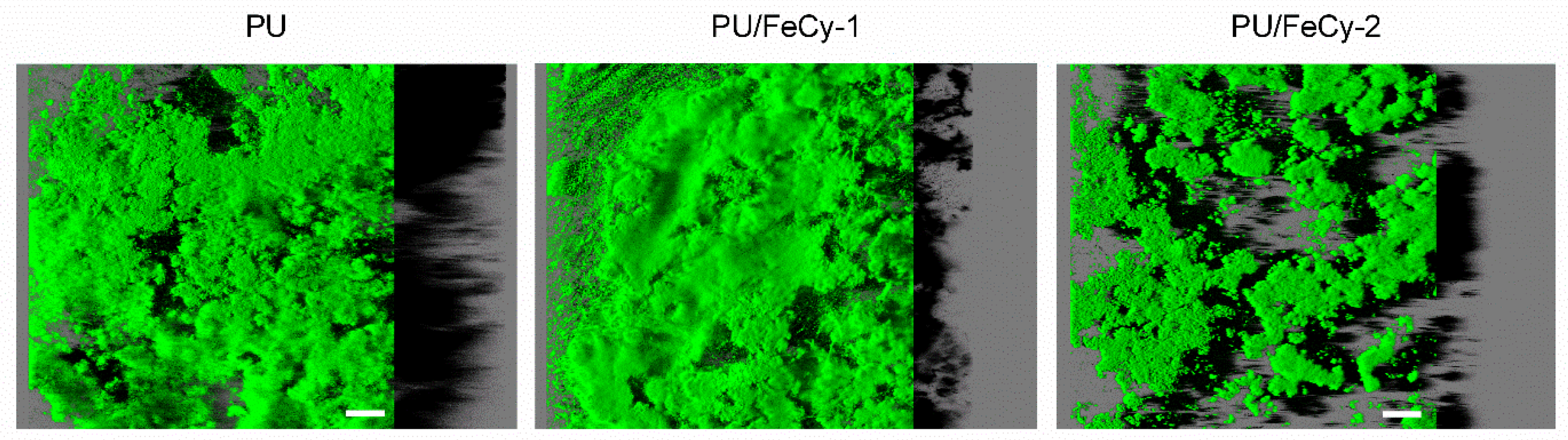 Molecules 30 00917 g007