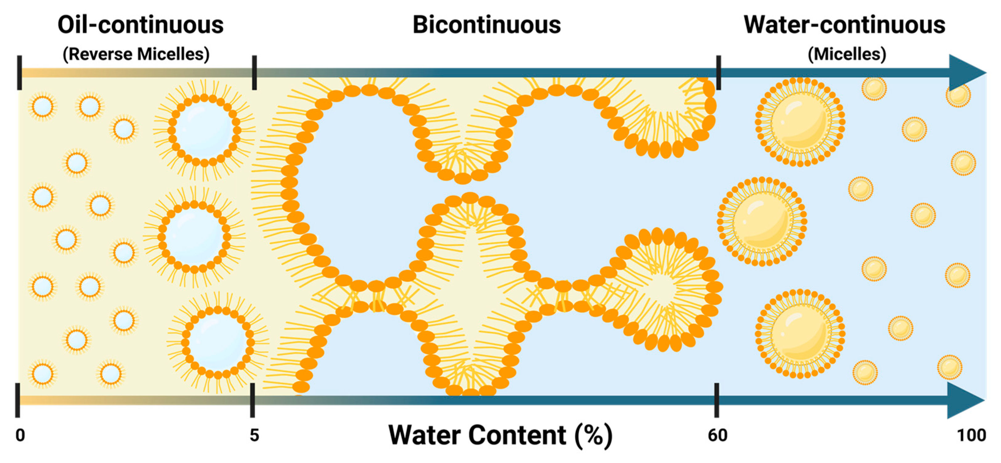 Molecules 30 00921 g006