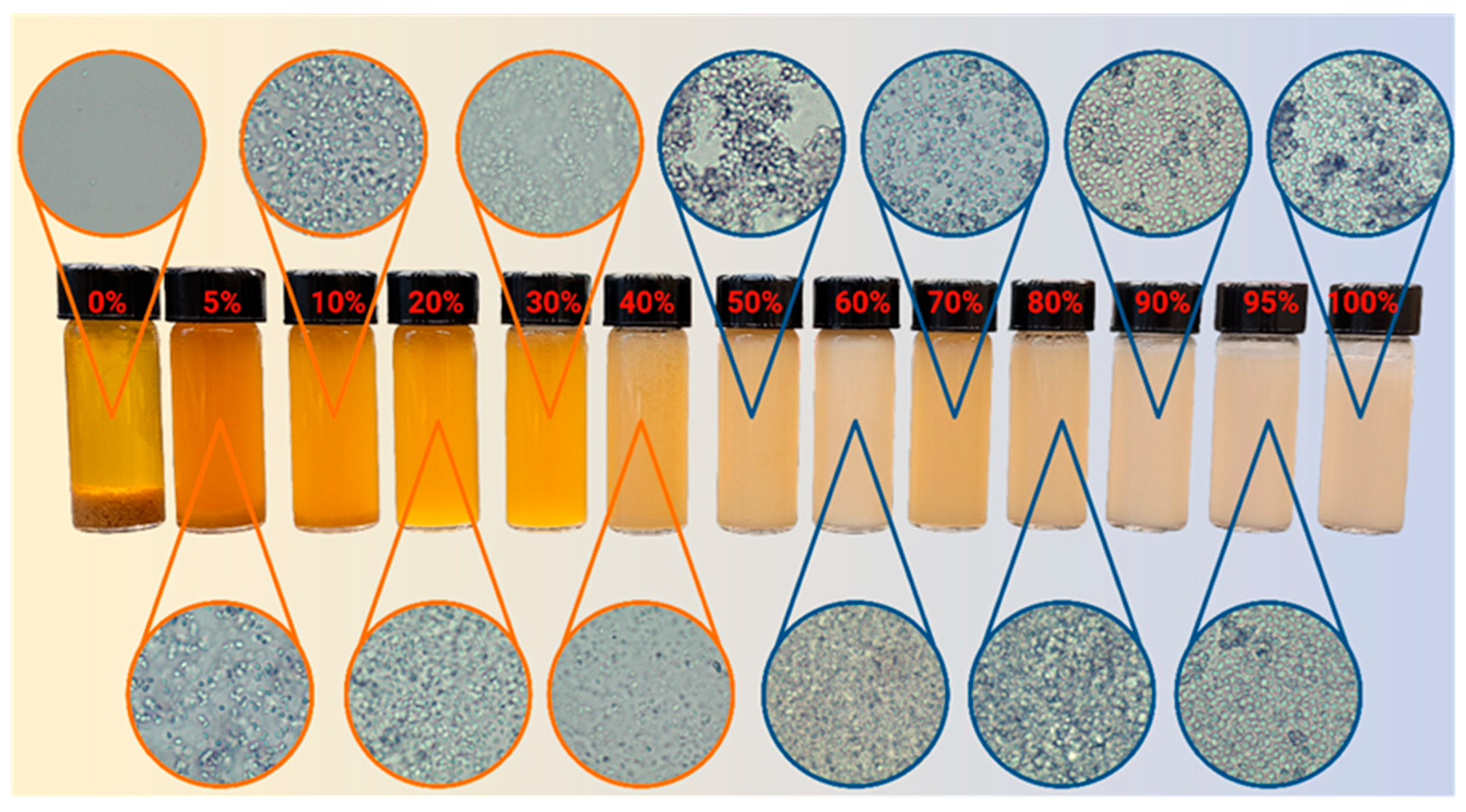 Molecules 30 00921 g008