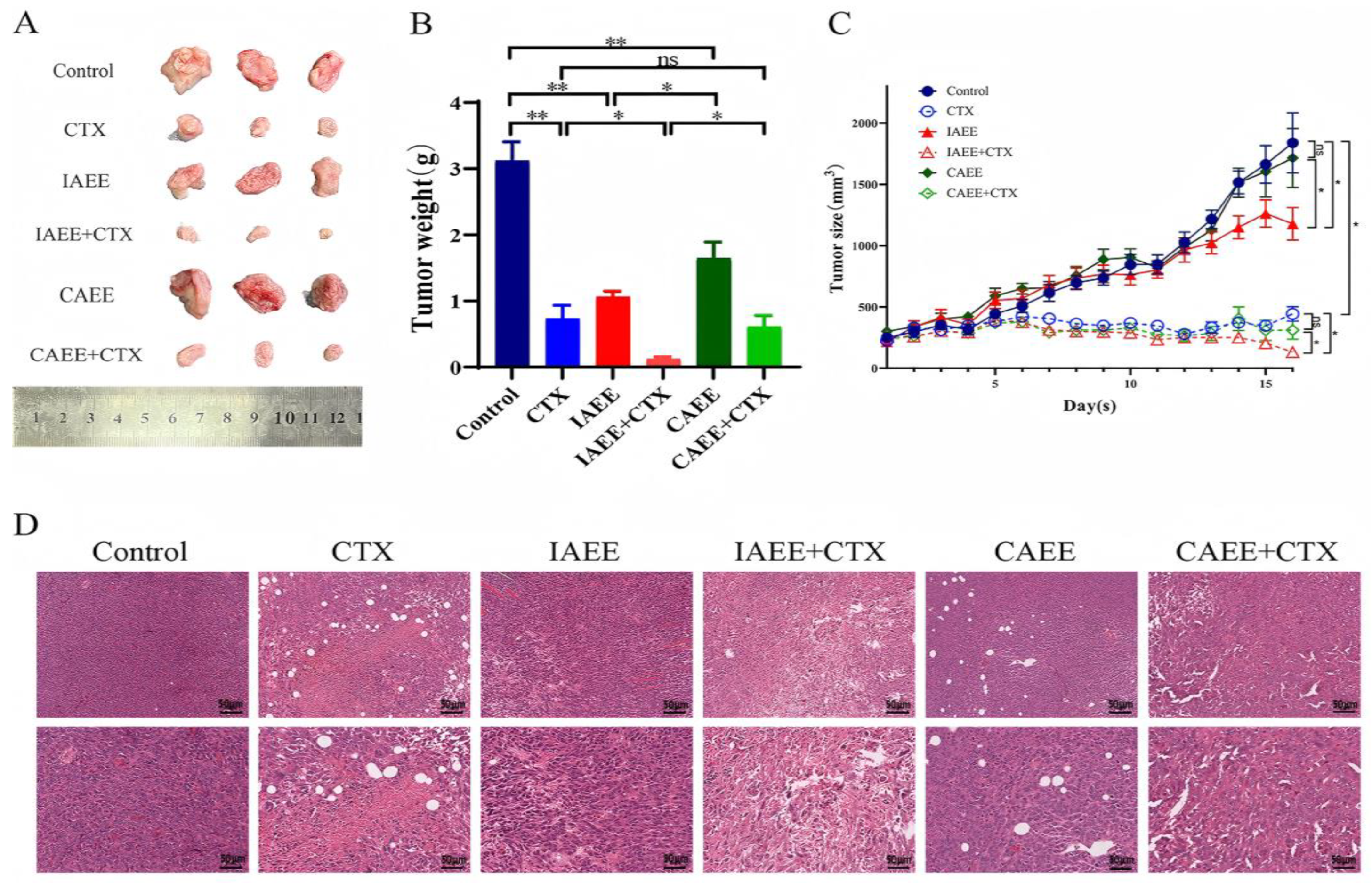 Molecules 30 00923 g001