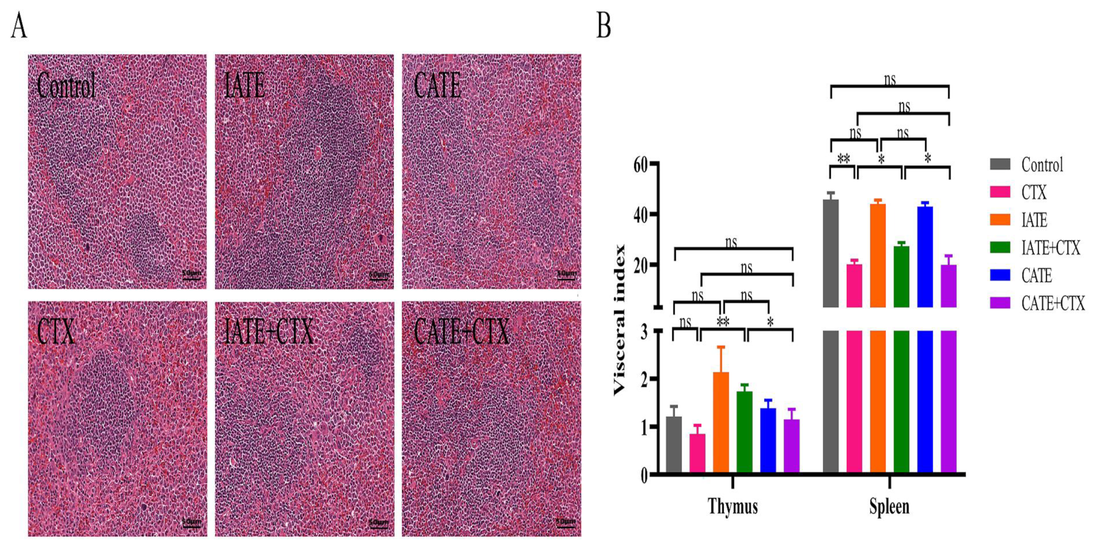 Molecules 30 00923 g002