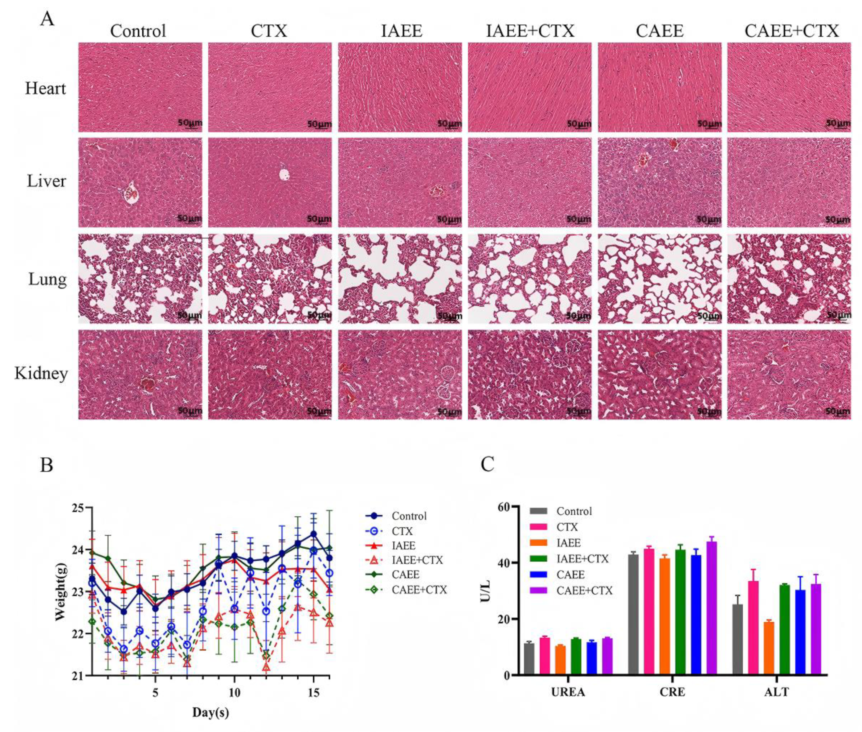 Molecules 30 00923 g004