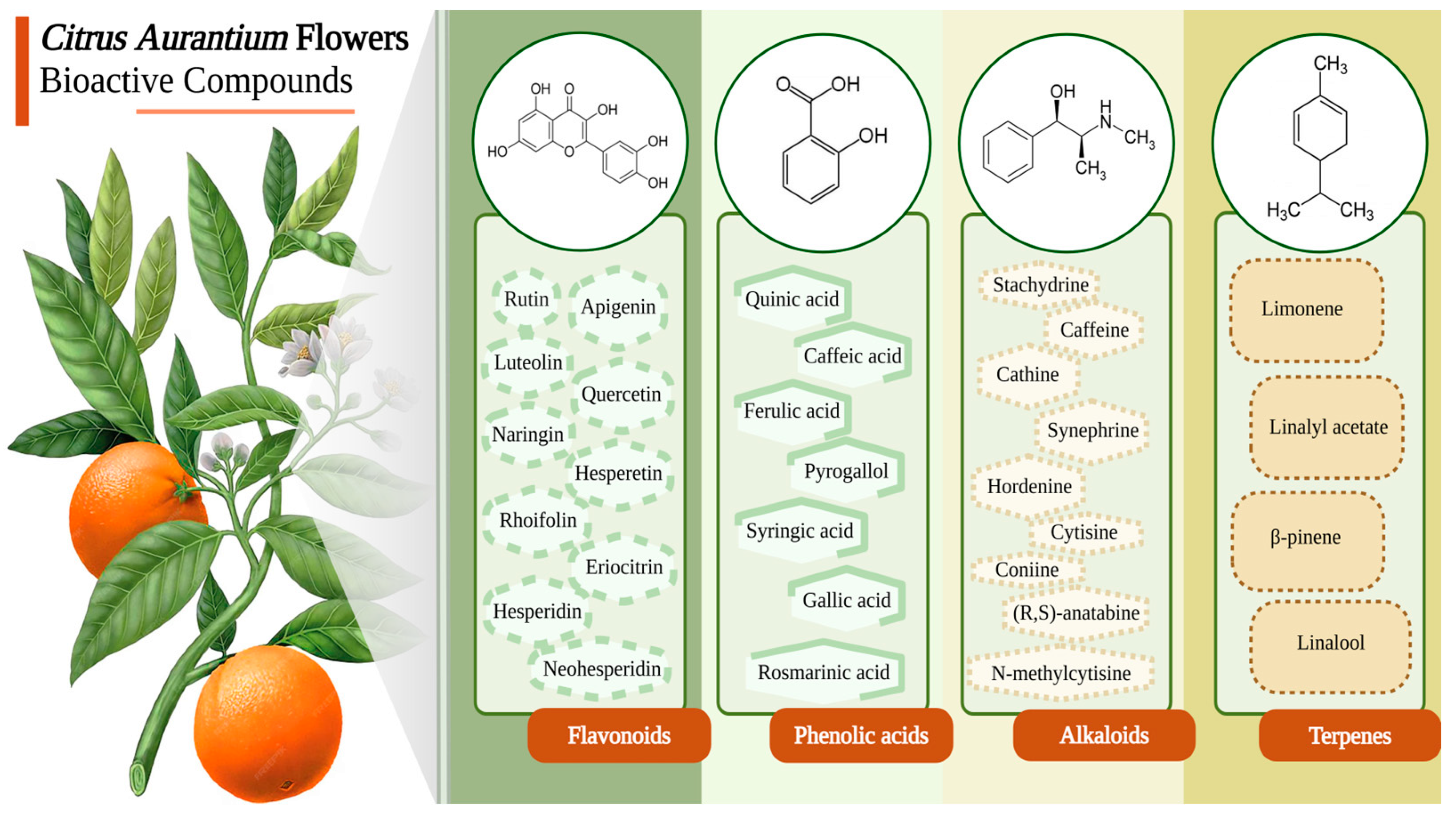 Molecules 30 00930 g001