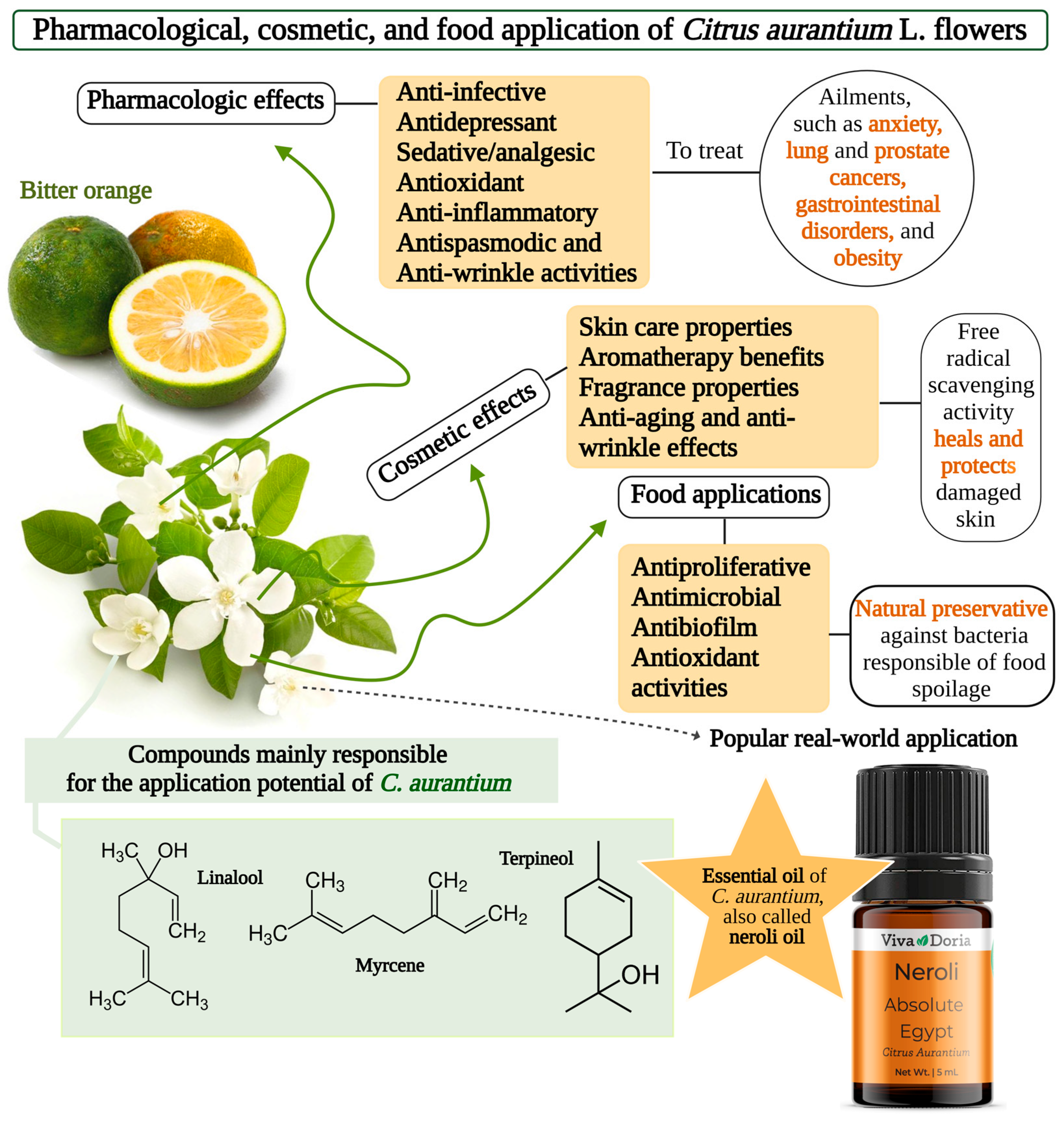 Molecules 30 00930 g002