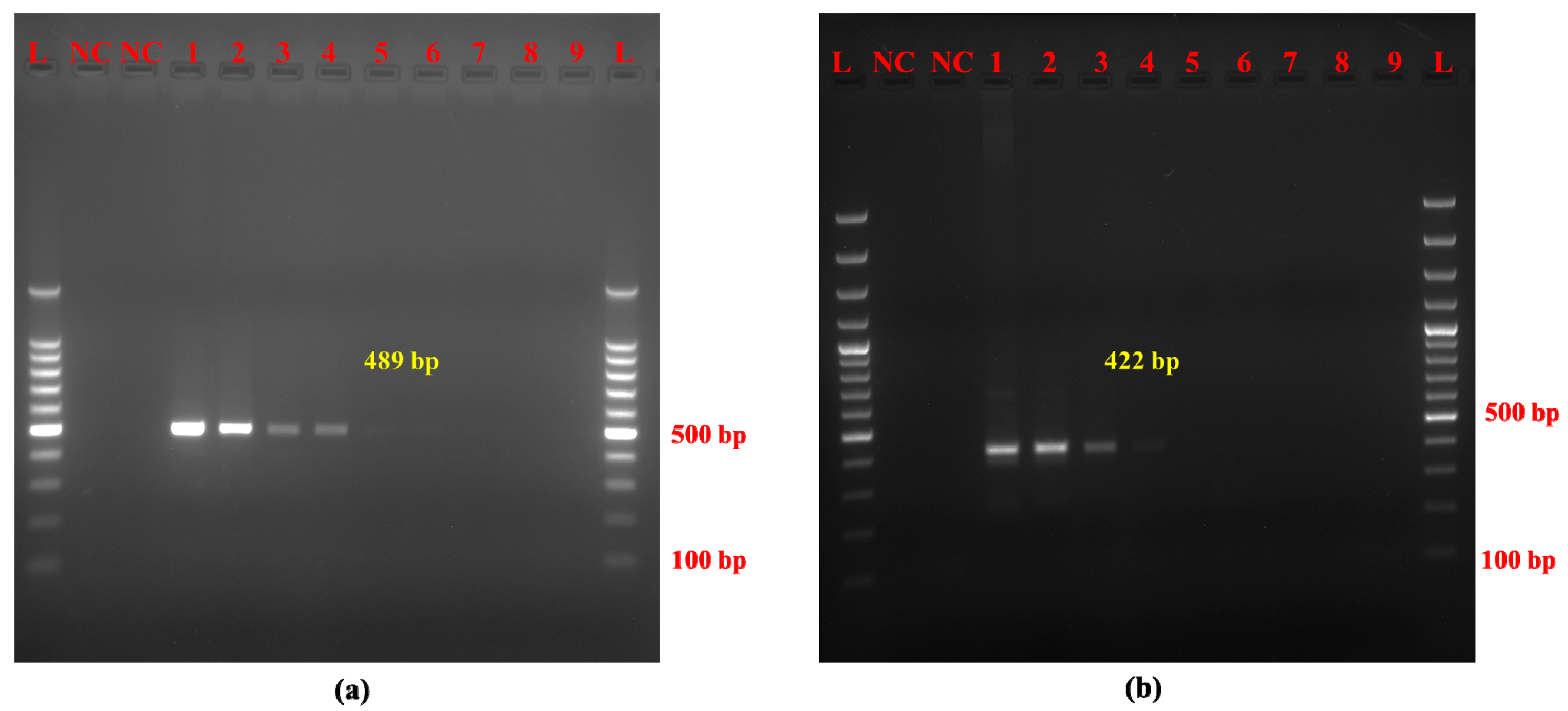 Molecules 30 00934 g002 Molecules 30 00934 g002