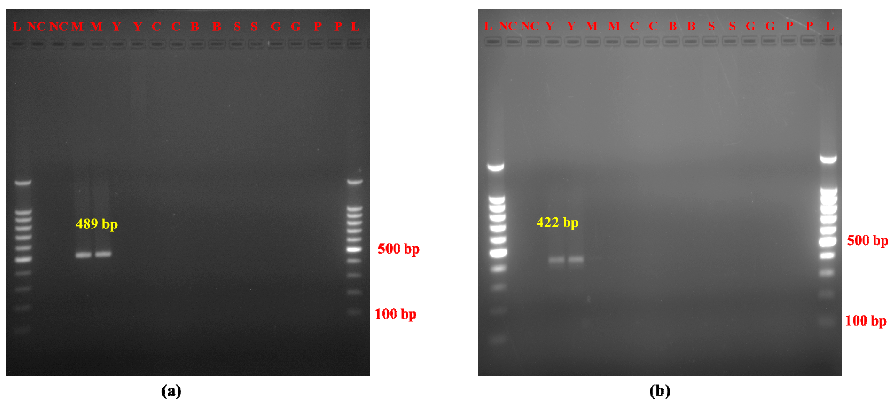 Molecules 30 00934 g003 Molecules 30 00934 g003