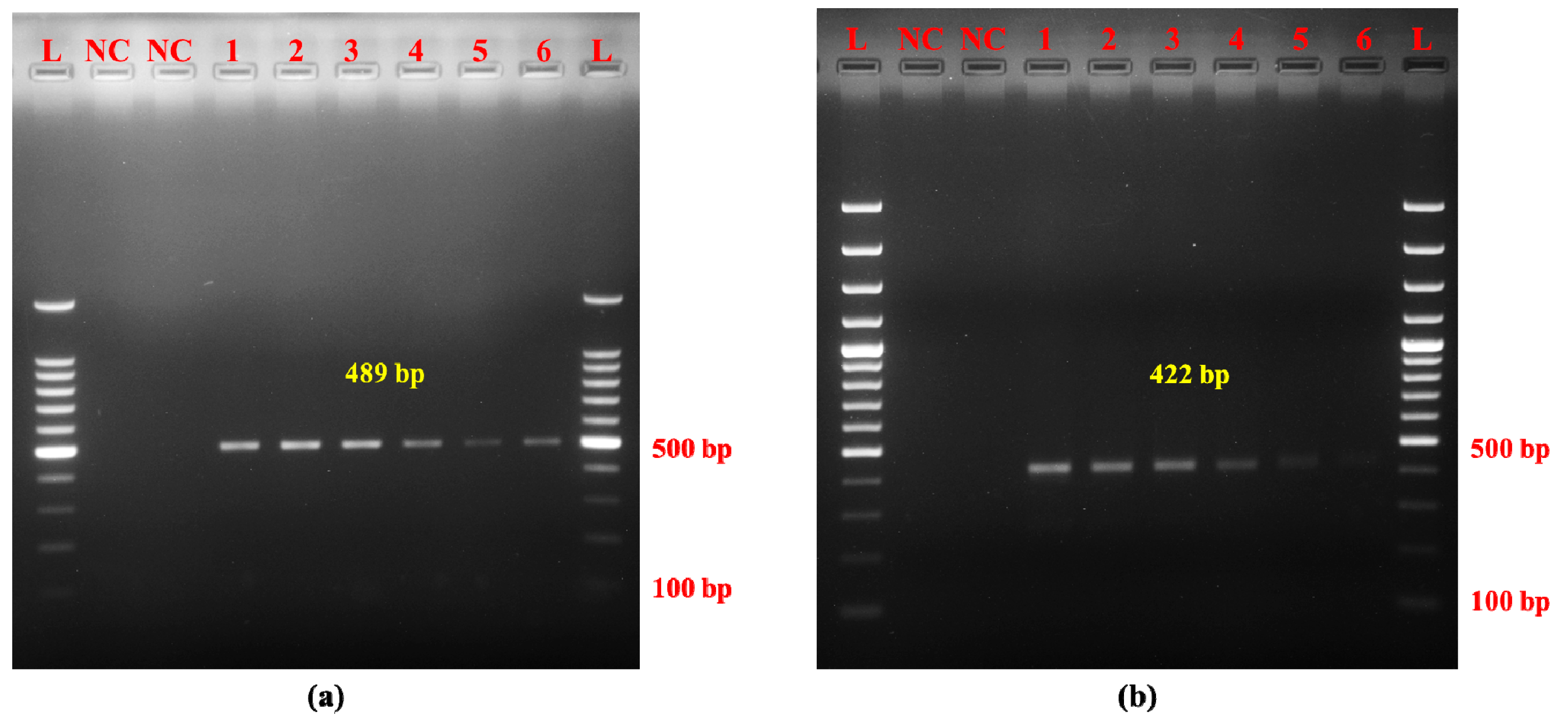 Molecules 30 00934 g004 Molecules 30 00934 g004