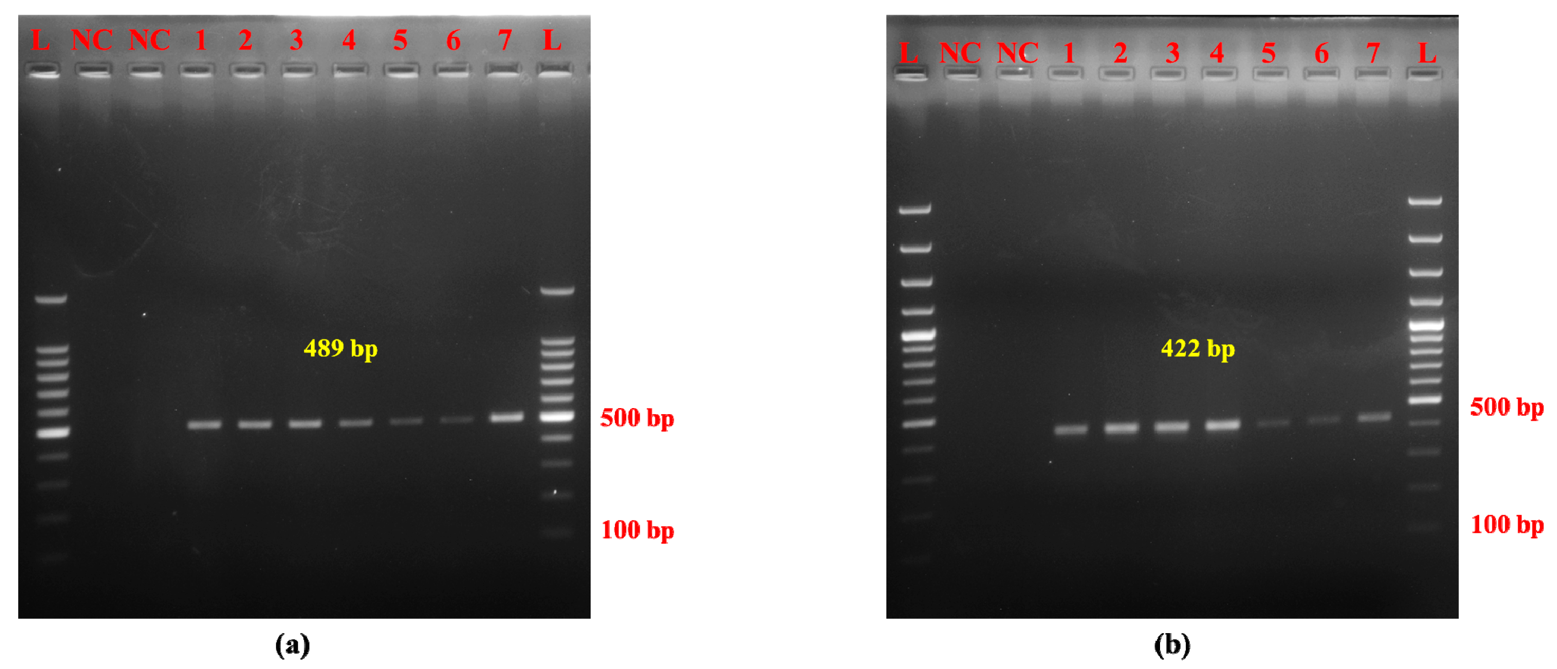 Molecules 30 00934 g005 Molecules 30 00934 g005