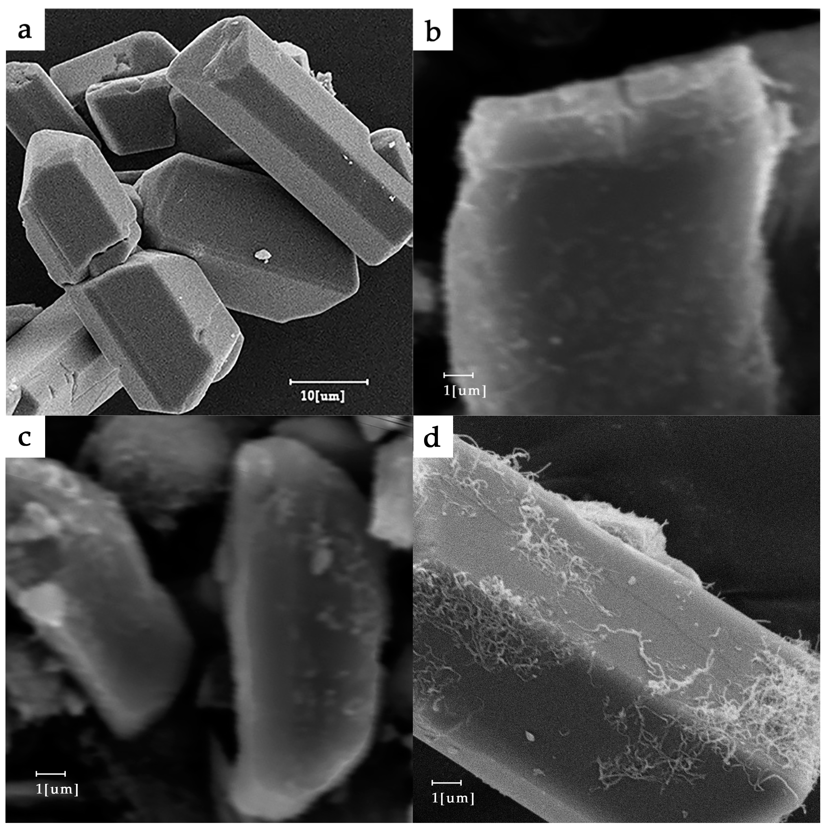 Molecules 30 00935 g003