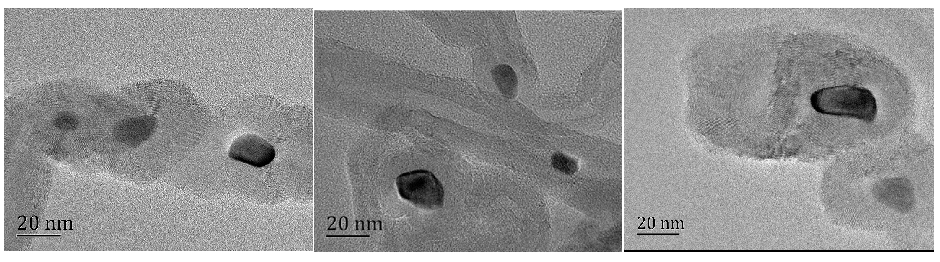 Molecules 30 00935 g004