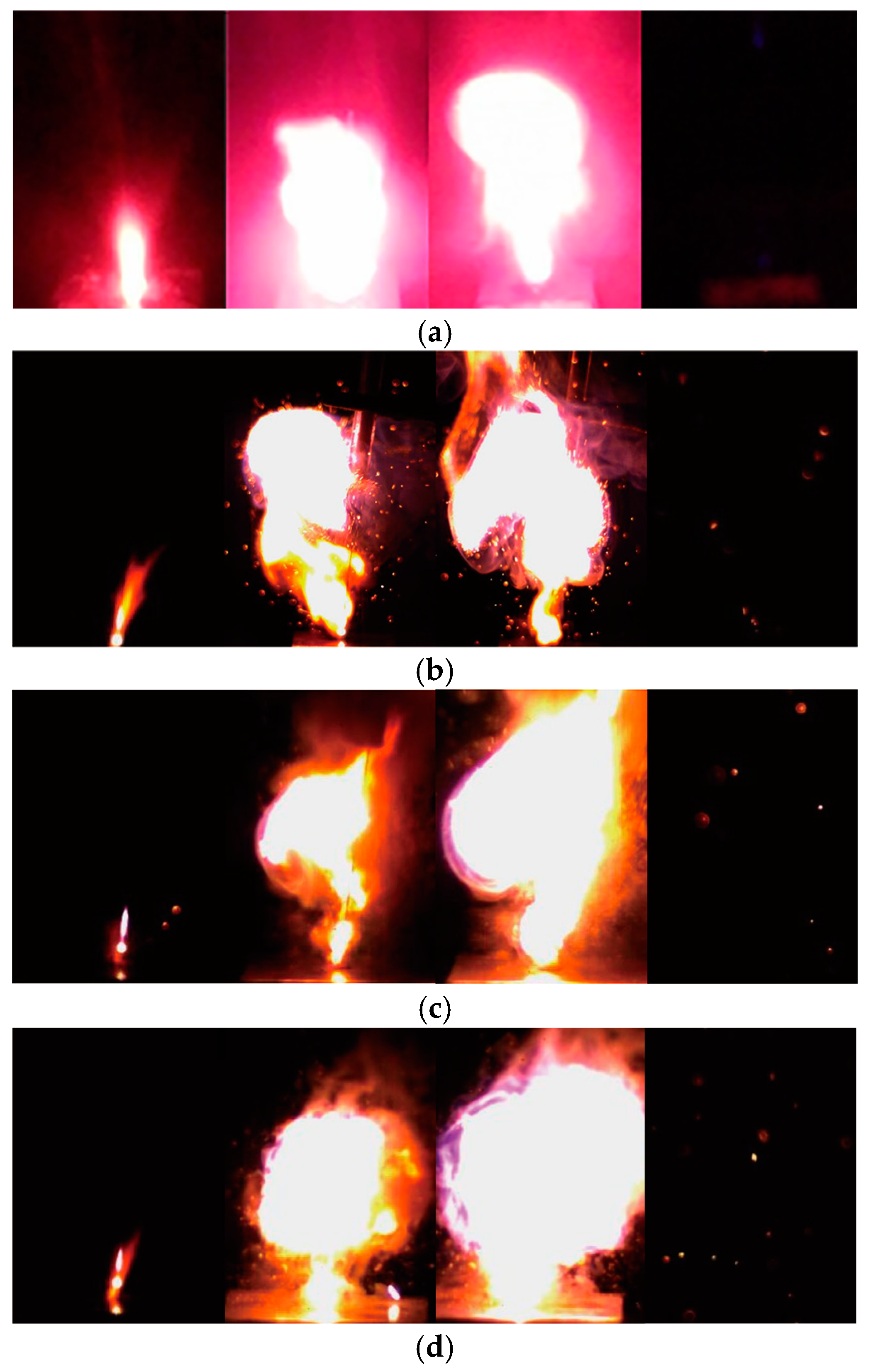 Molecules 30 00935 g007