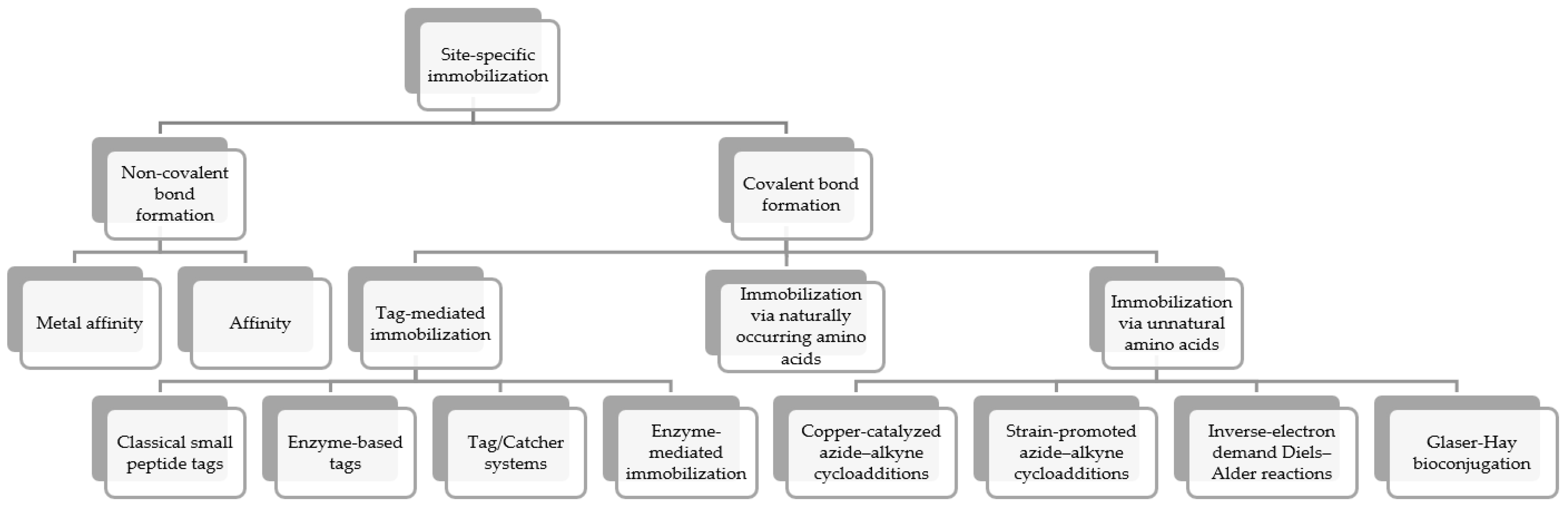 Molecules 30 00939 g002