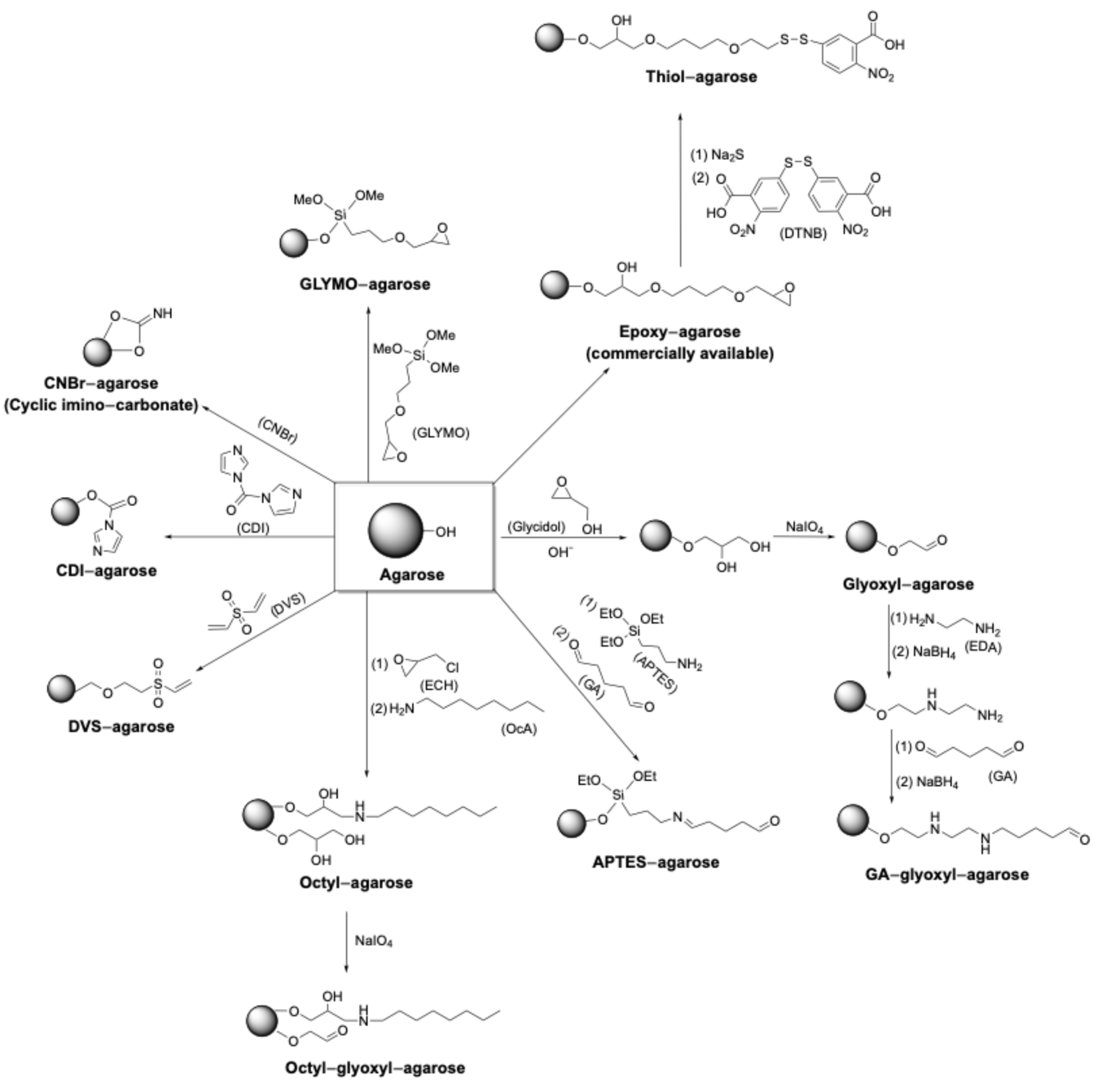 Molecules 30 00939 sch003