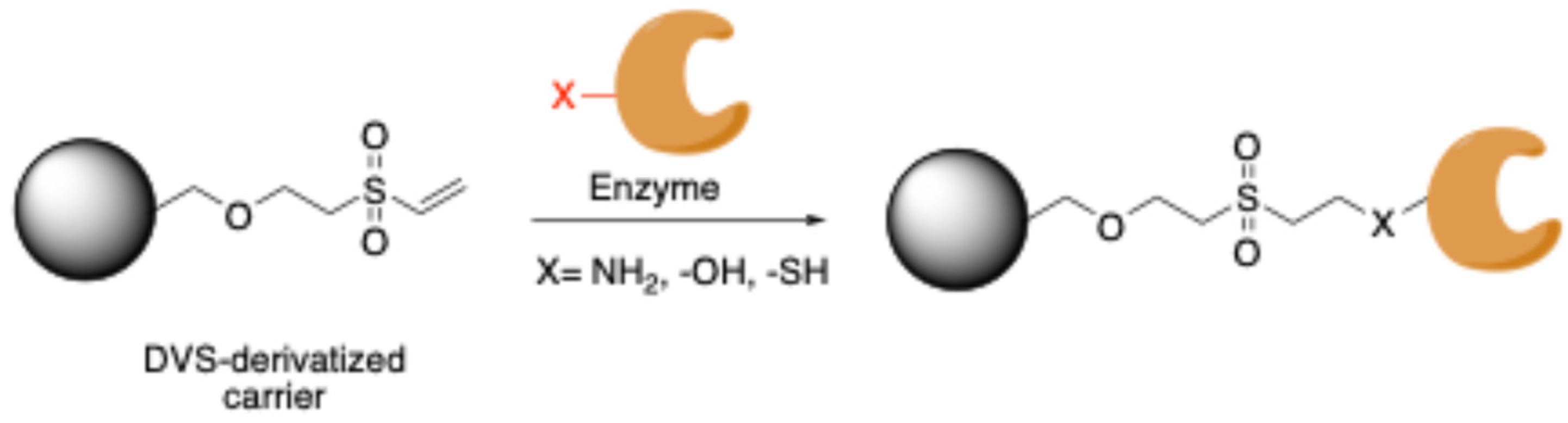 Molecules 30 00939 sch004