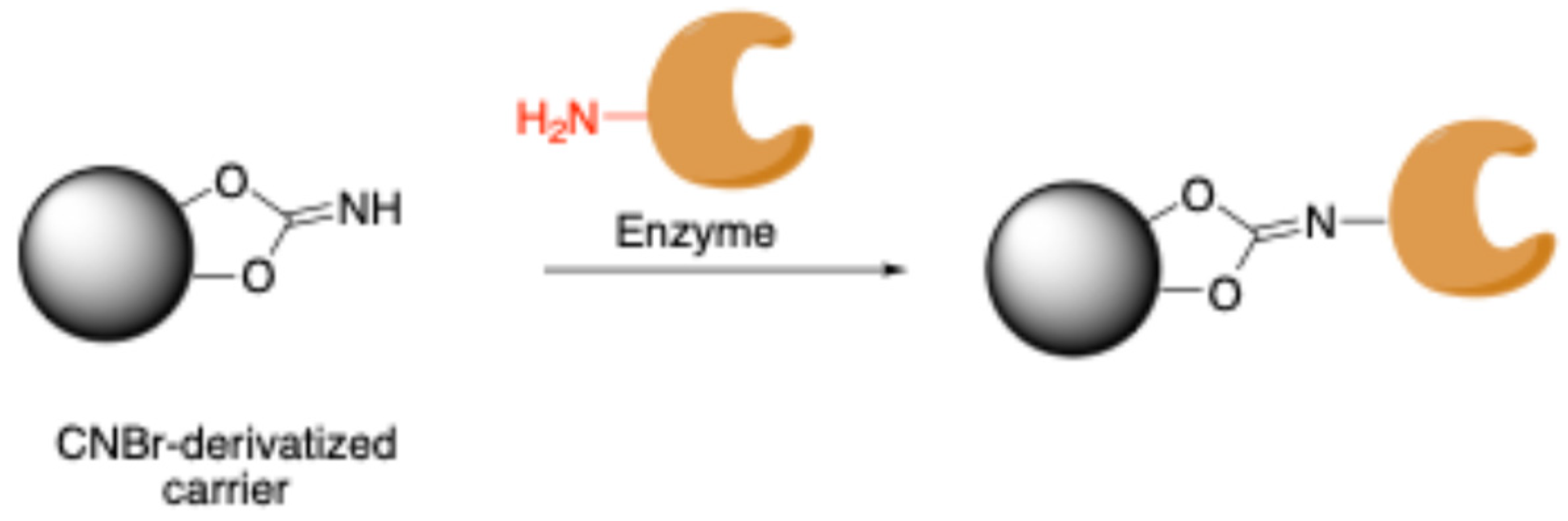 Molecules 30 00939 sch005