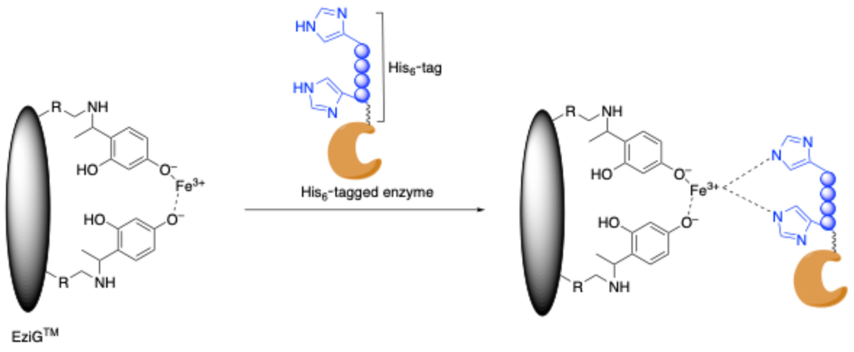 Molecules 30 00939 sch007