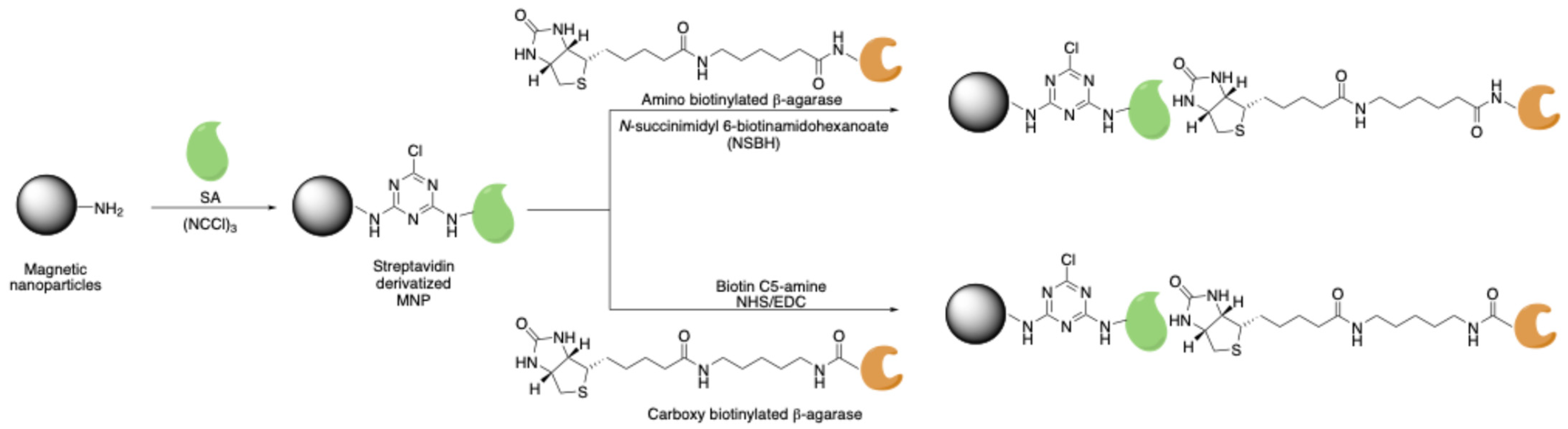 Molecules 30 00939 sch009