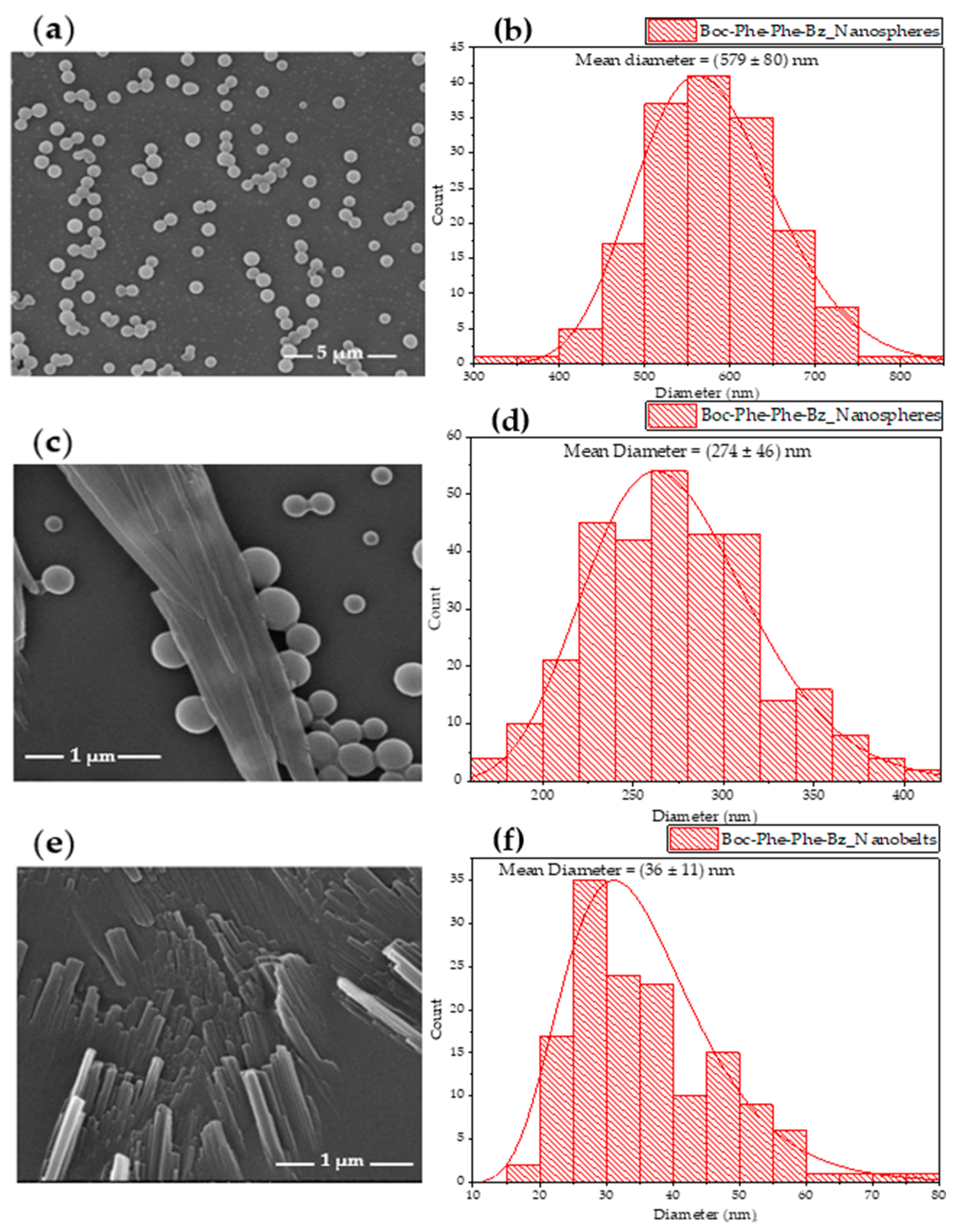 Molecules 30 00942 g004