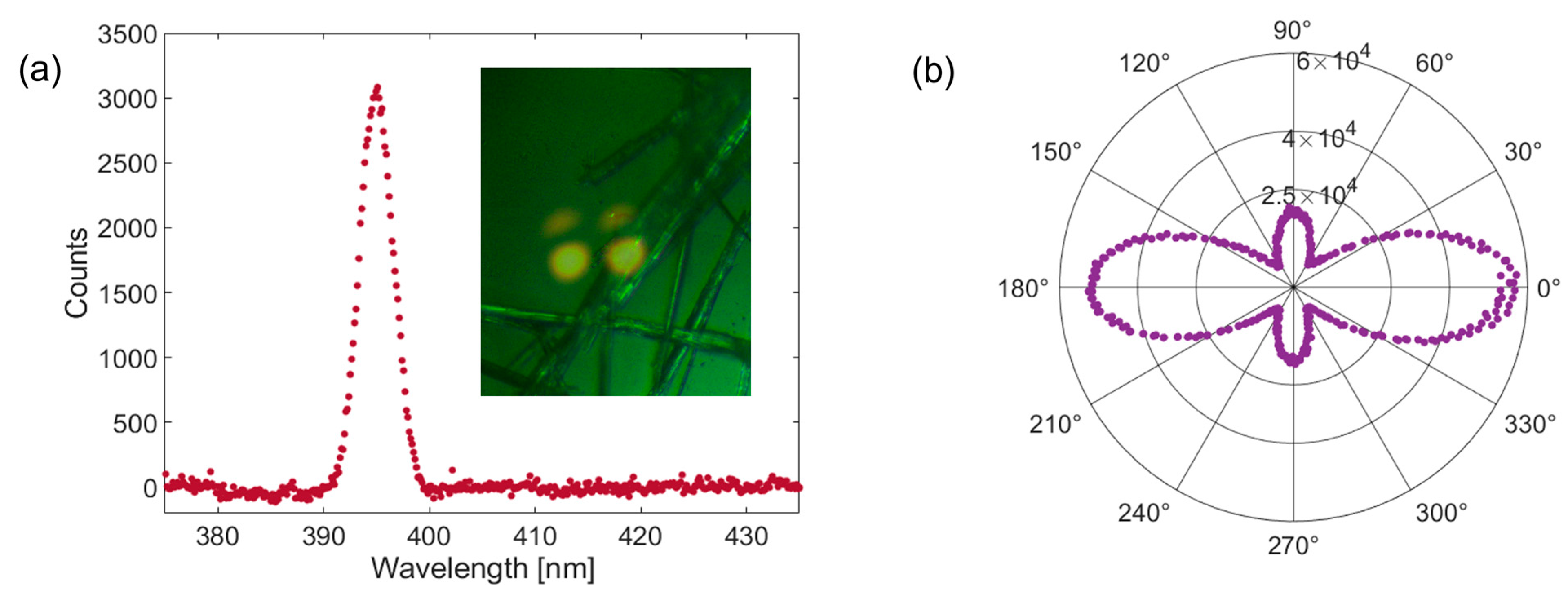 Molecules 30 00942 g006