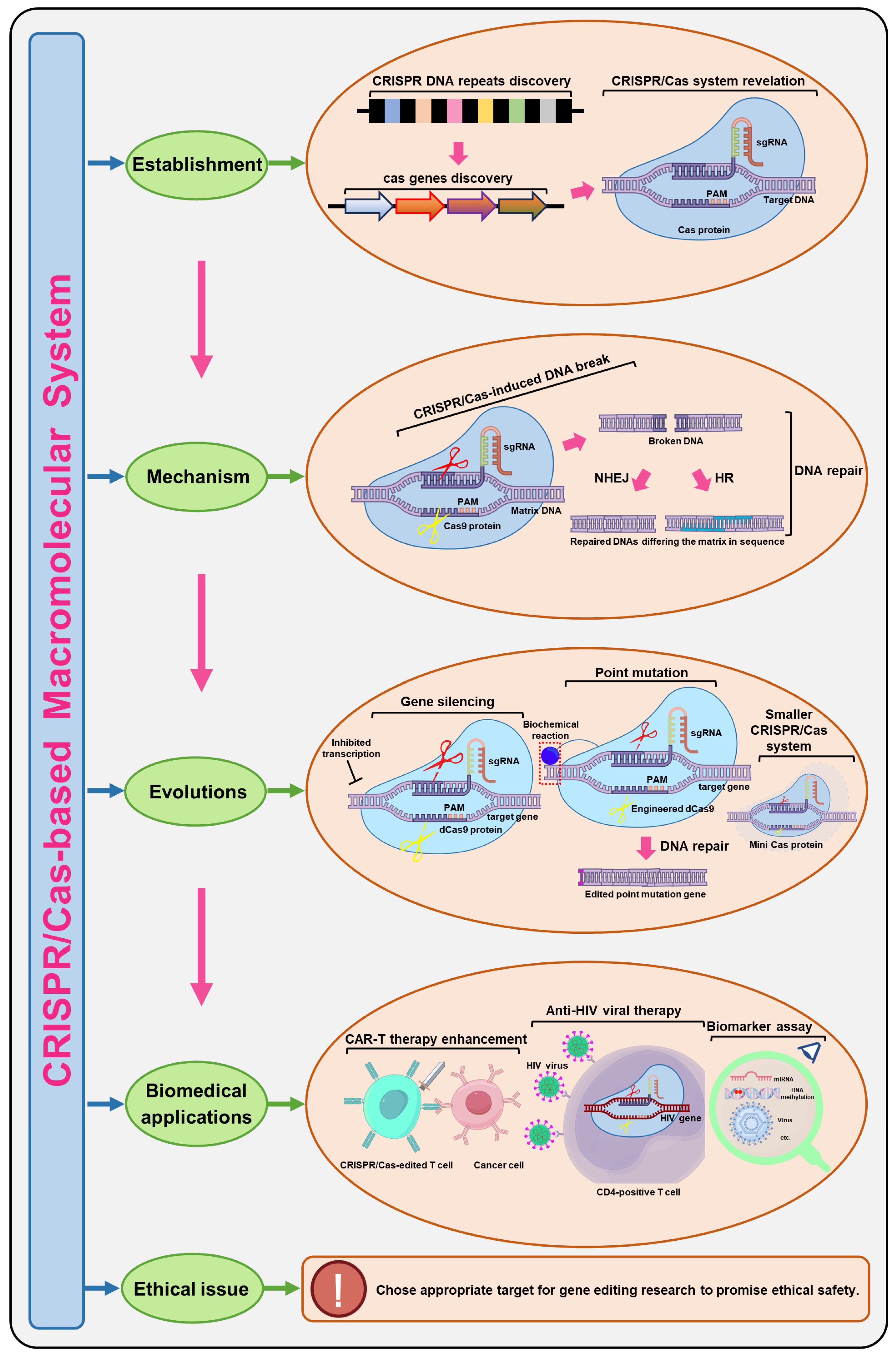 Molecules 30 00947 sch001