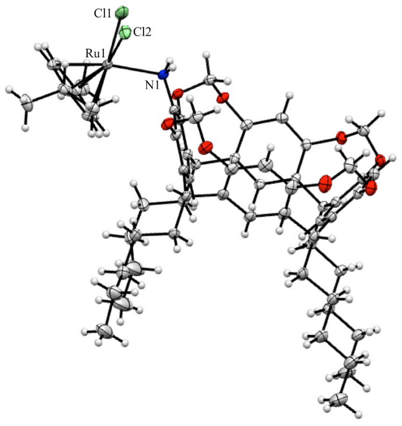 Molecules 30 00951 g003