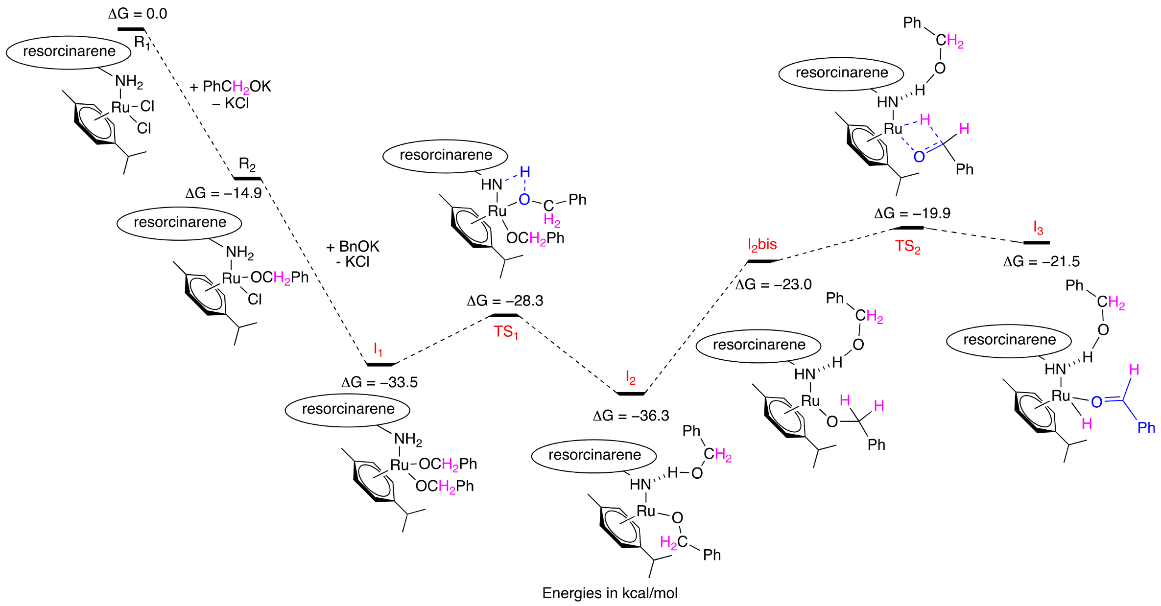 Molecules 30 00951 g004