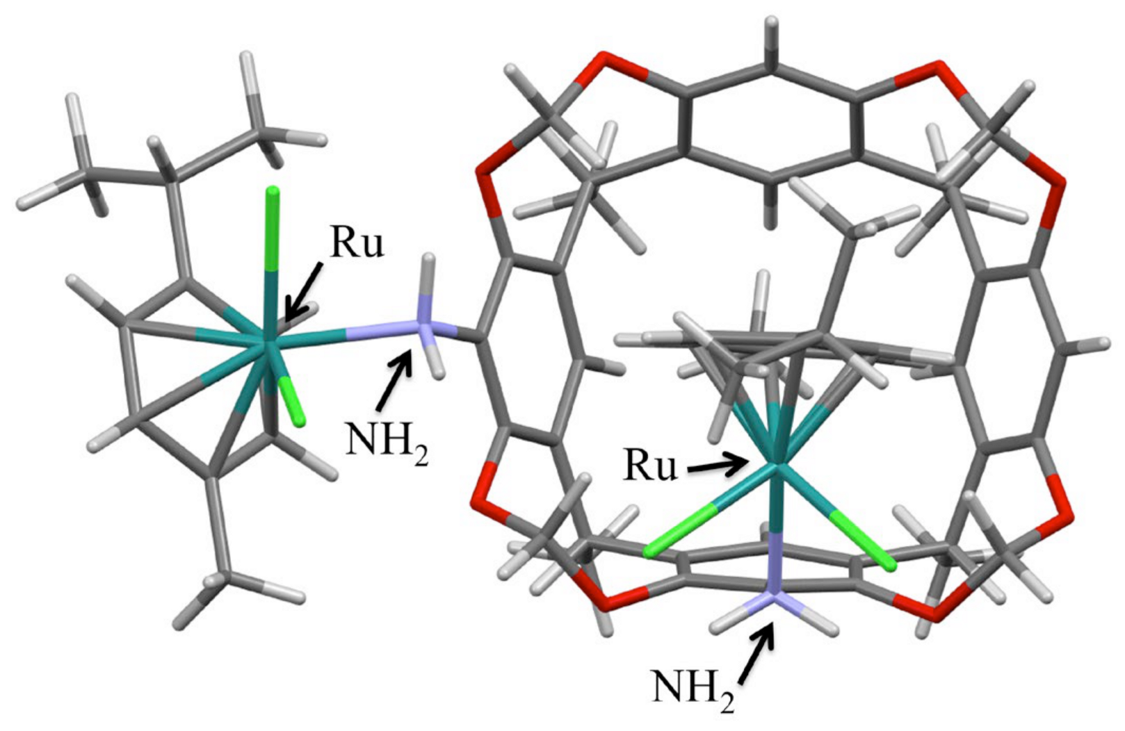 Molecules 30 00951 g008