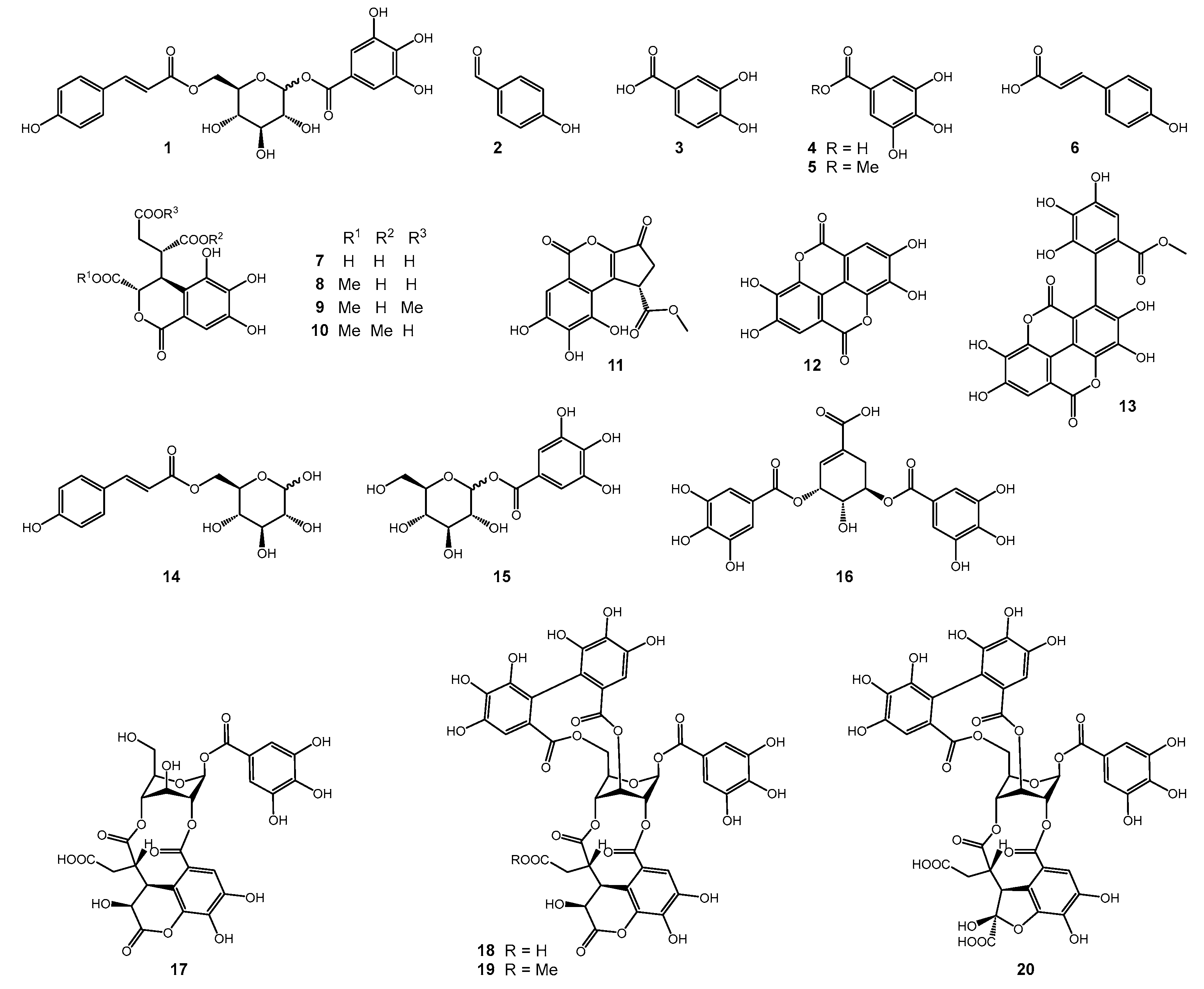 Molecules 30 00952 g003
