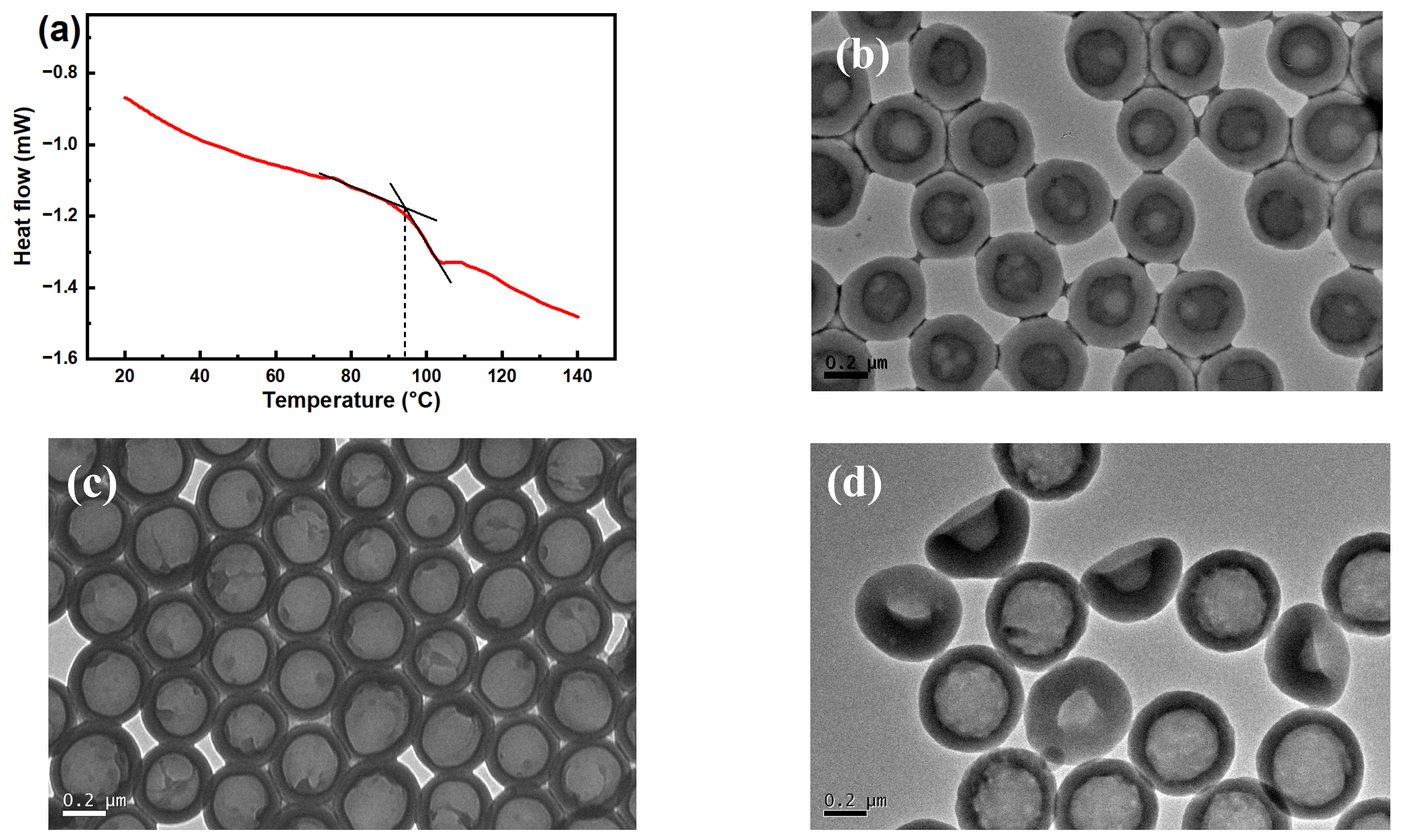 Molecules 30 00954 g002 Molecules 30 00954 g002