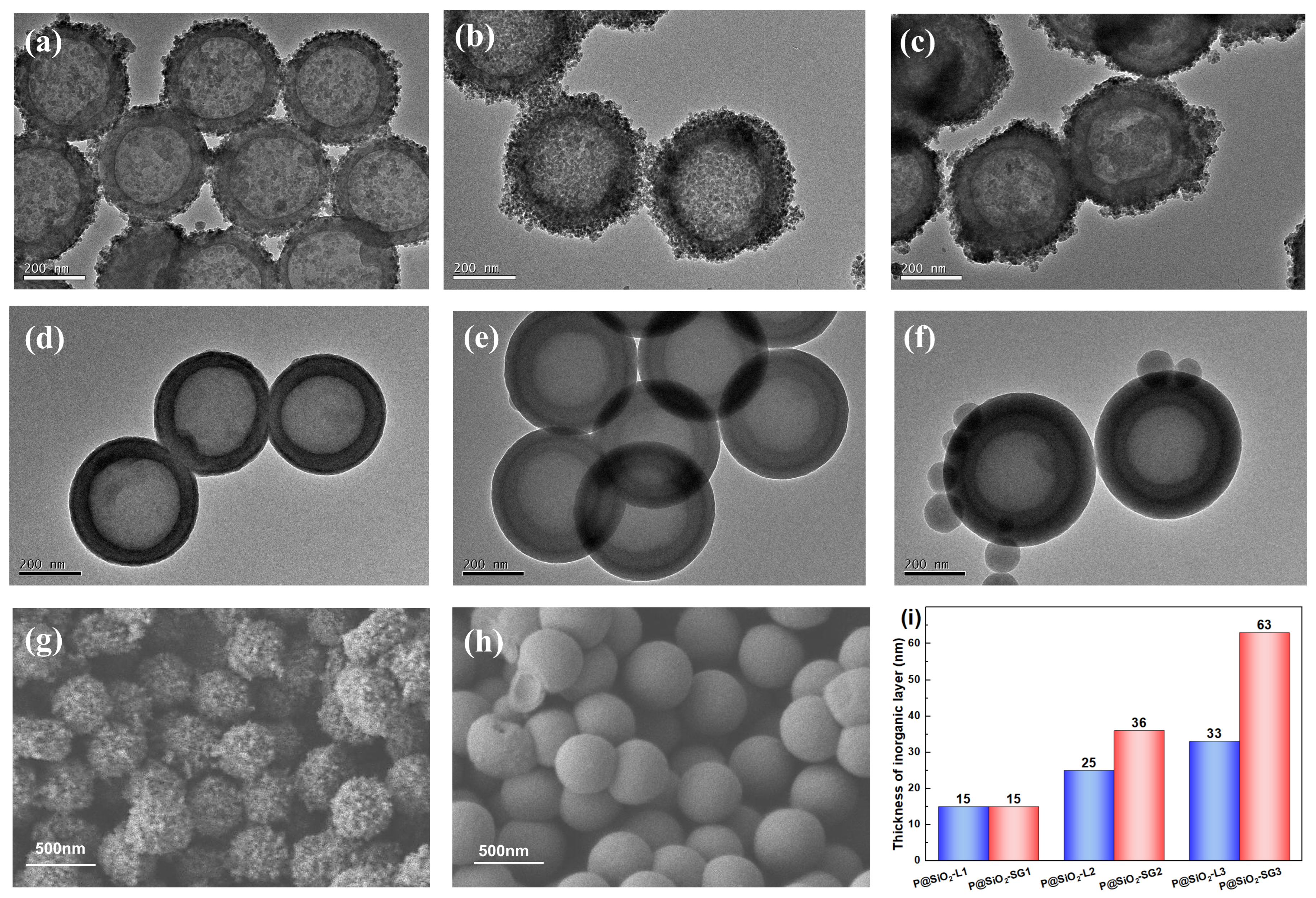 Molecules 30 00954 g003 Molecules 30 00954 g003