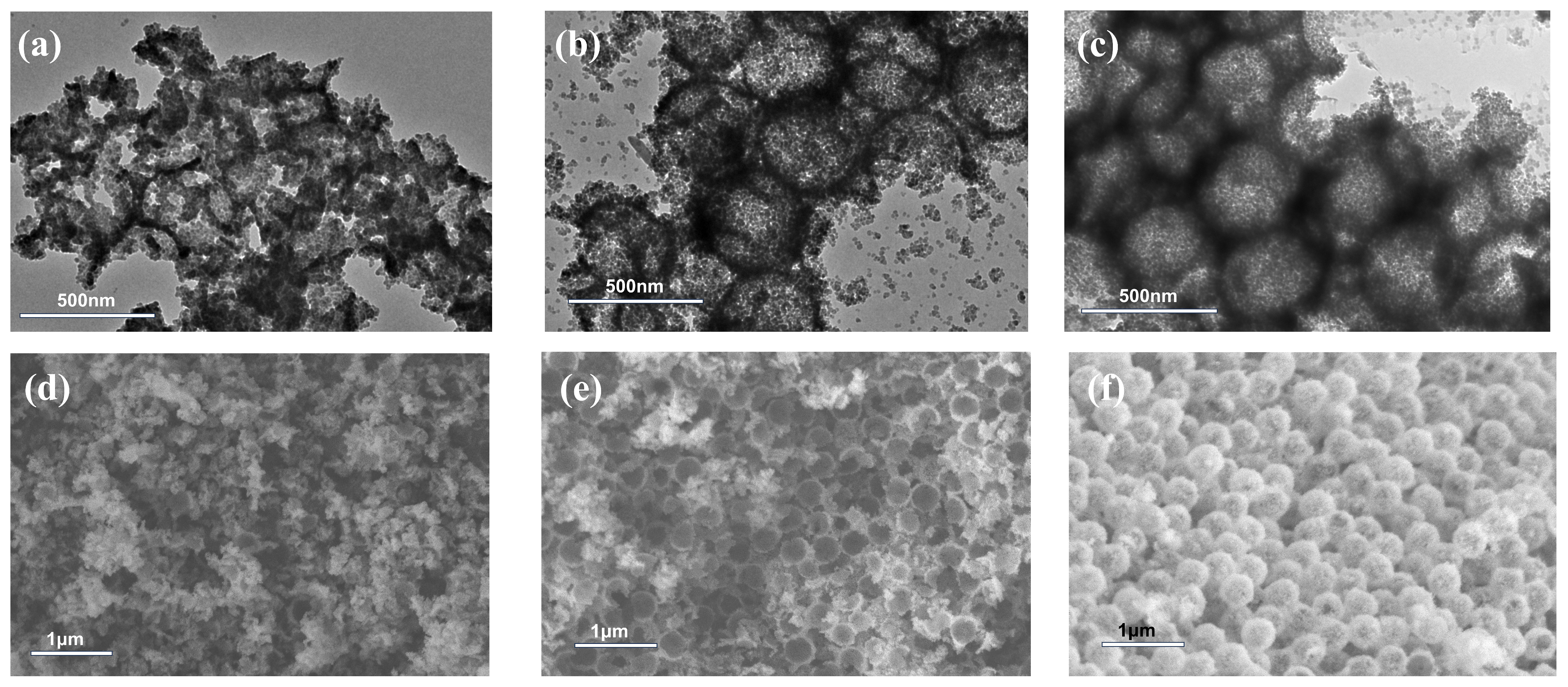 Molecules 30 00954 g005 Molecules 30 00954 g005