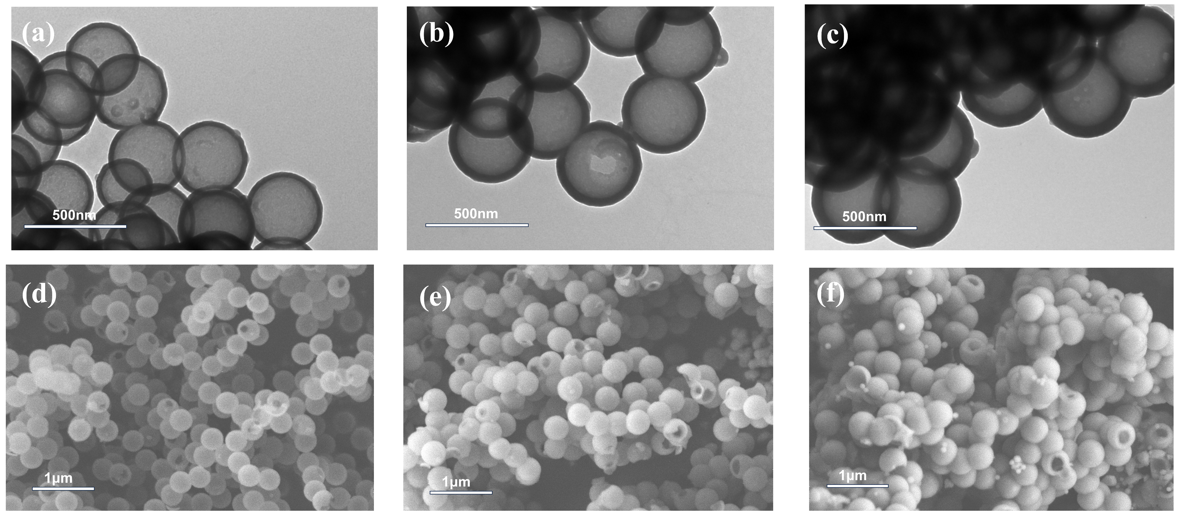 Molecules 30 00954 g006 Molecules 30 00954 g006