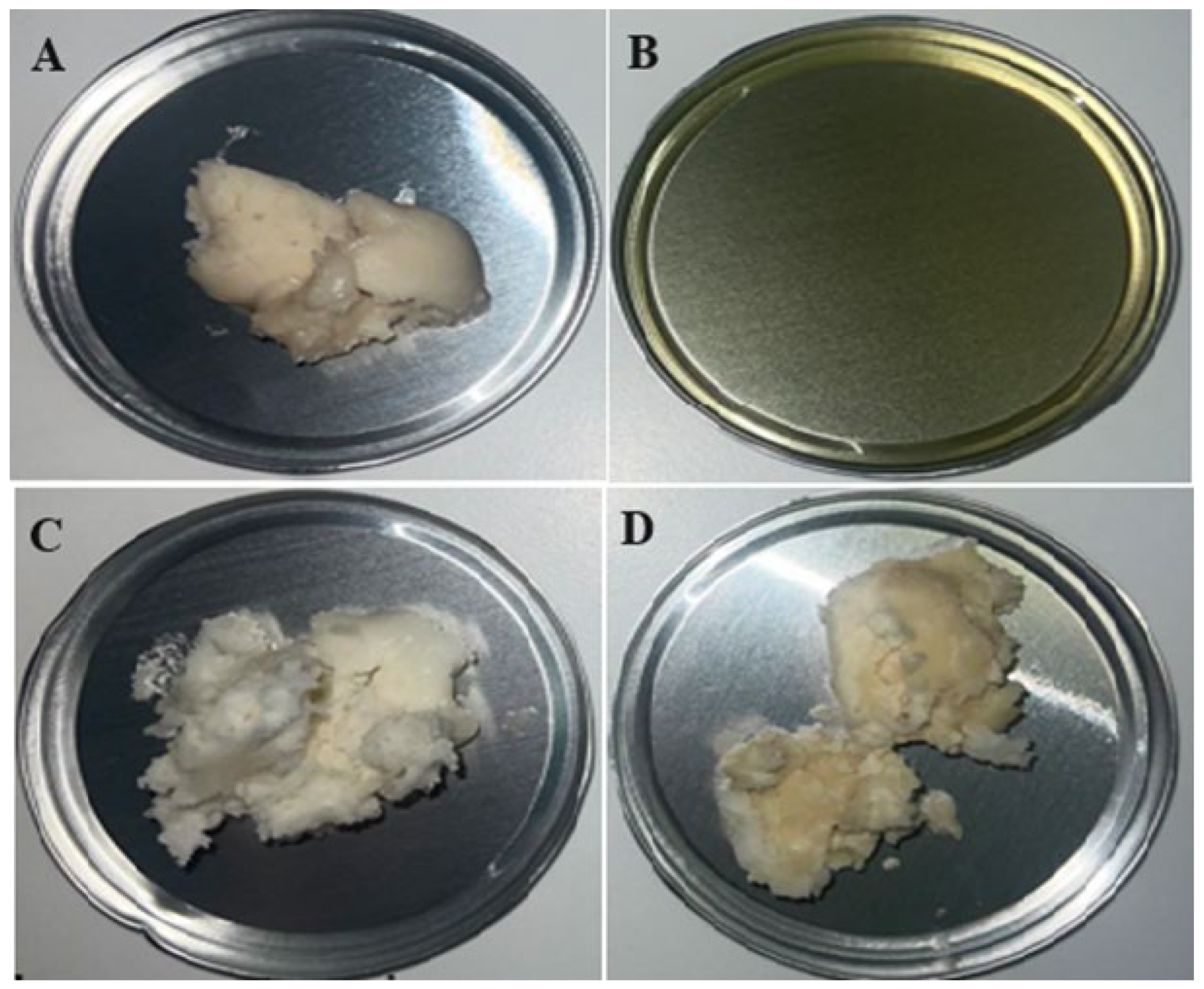 Molecules 30 00959 g007
