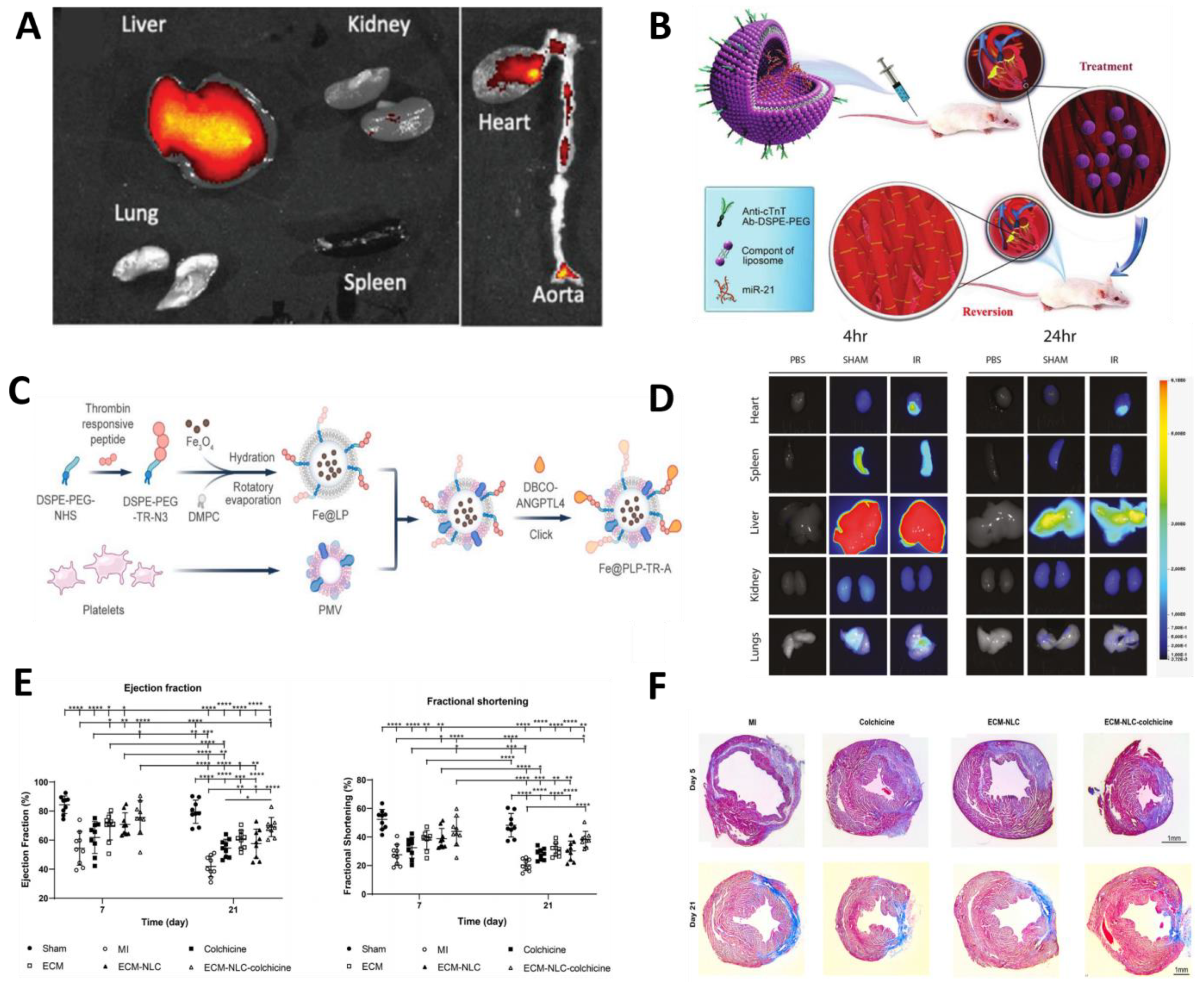 Molecules 30 00962 g002