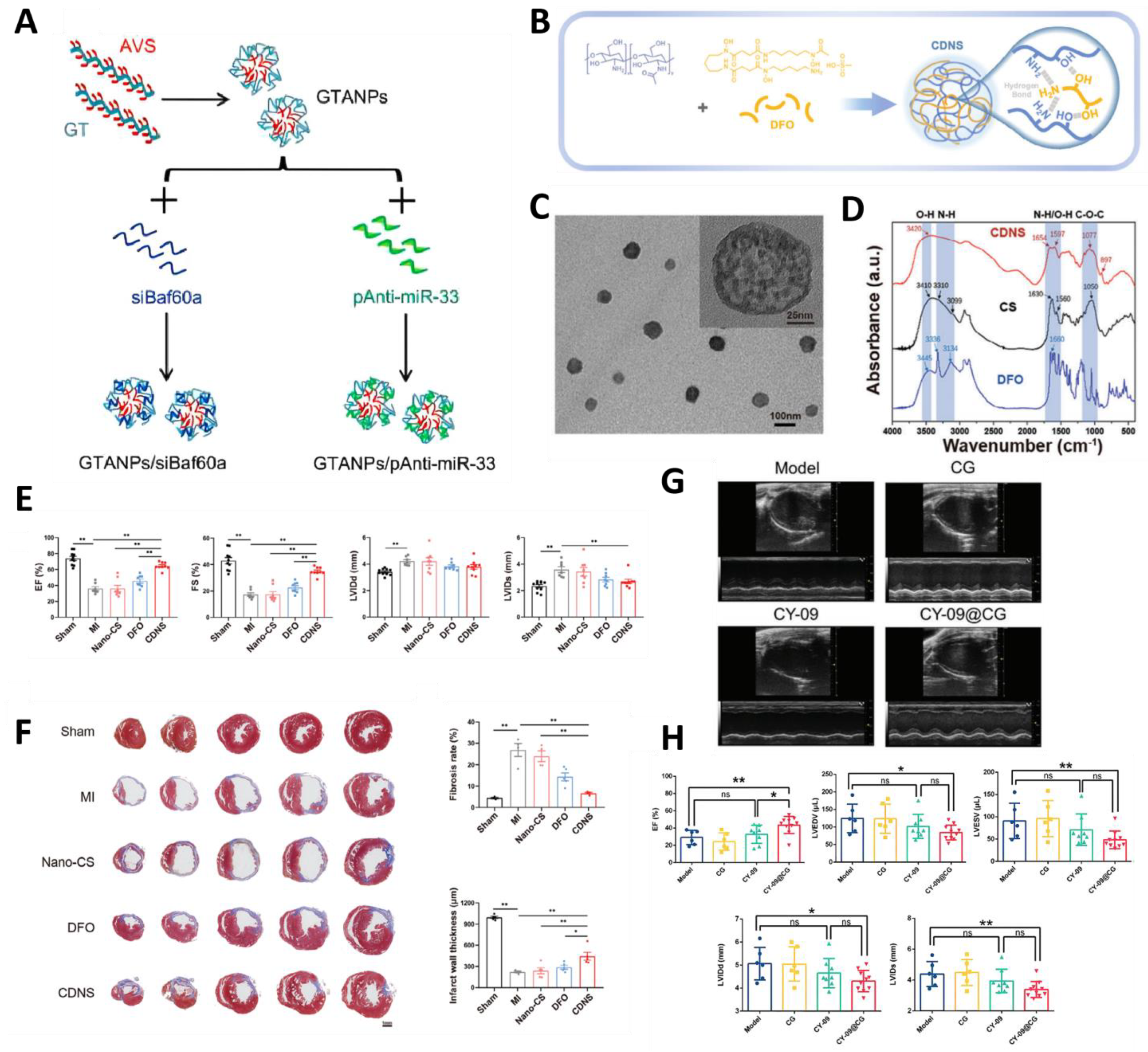 Molecules 30 00962 g003