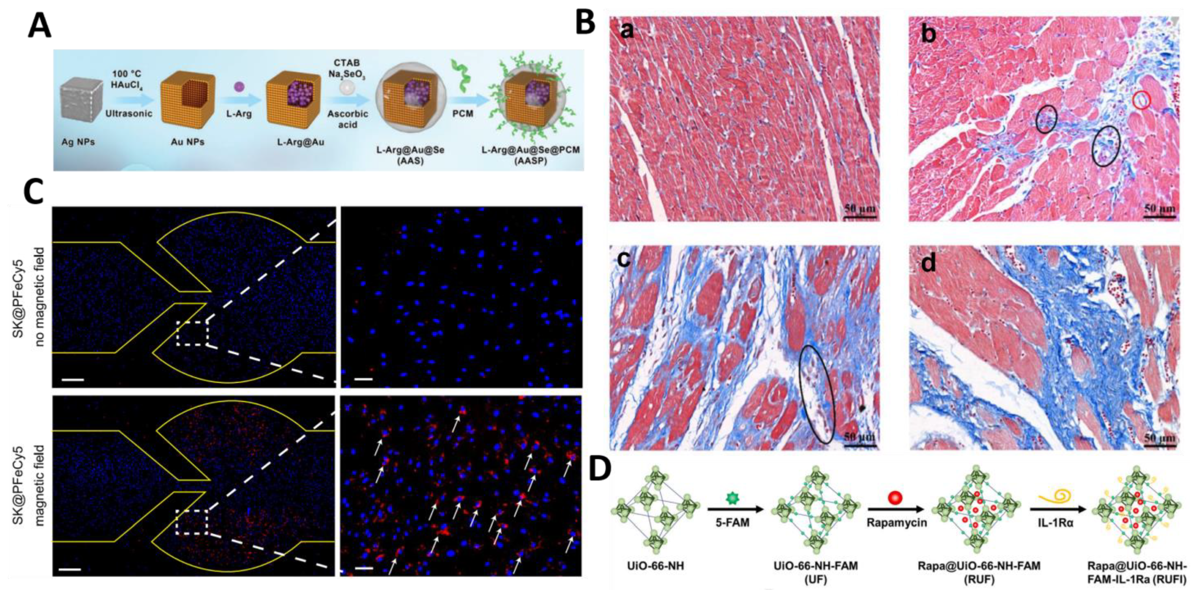 Molecules 30 00962 g005