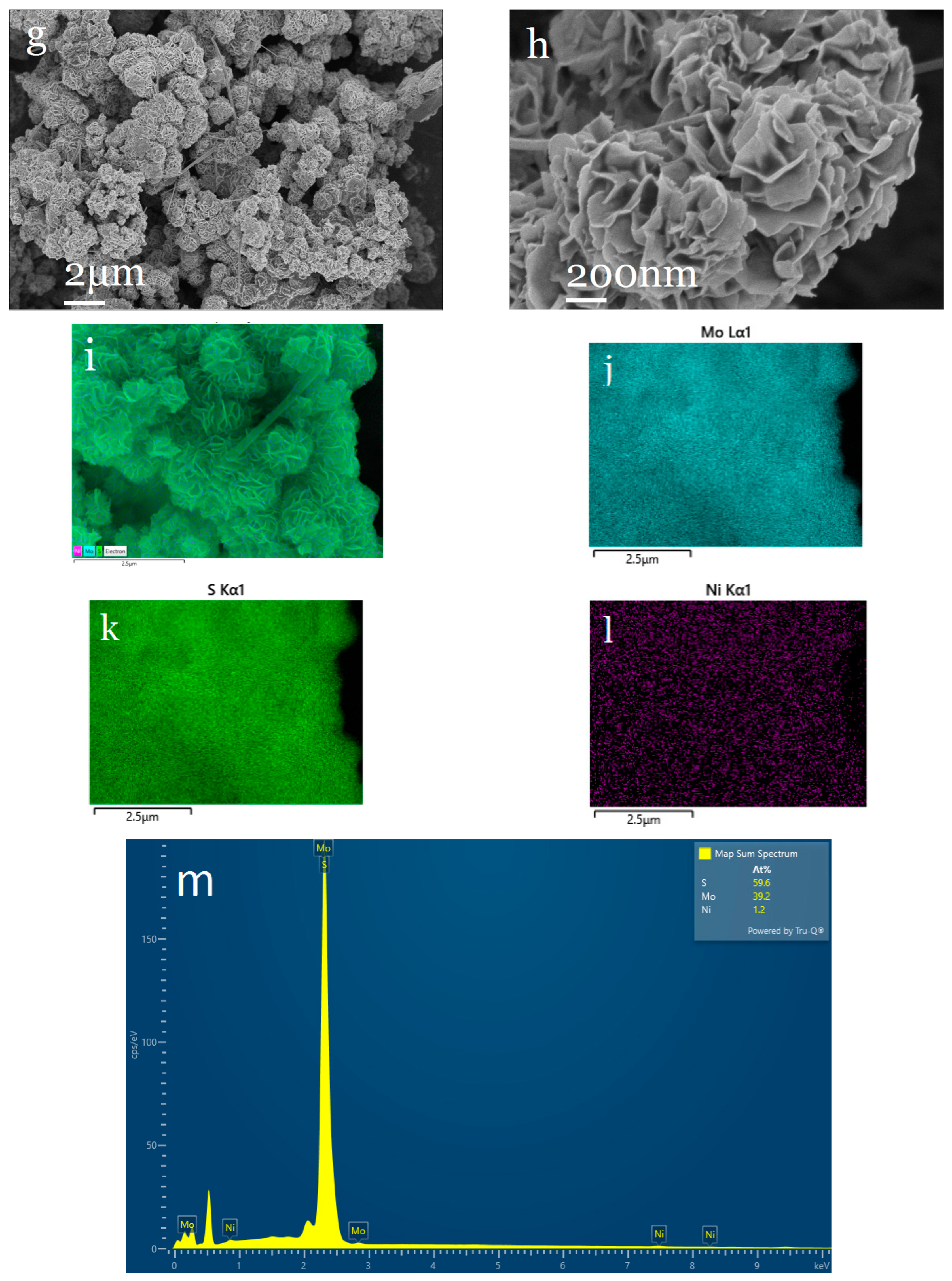 Molecules 30 00963 g002b