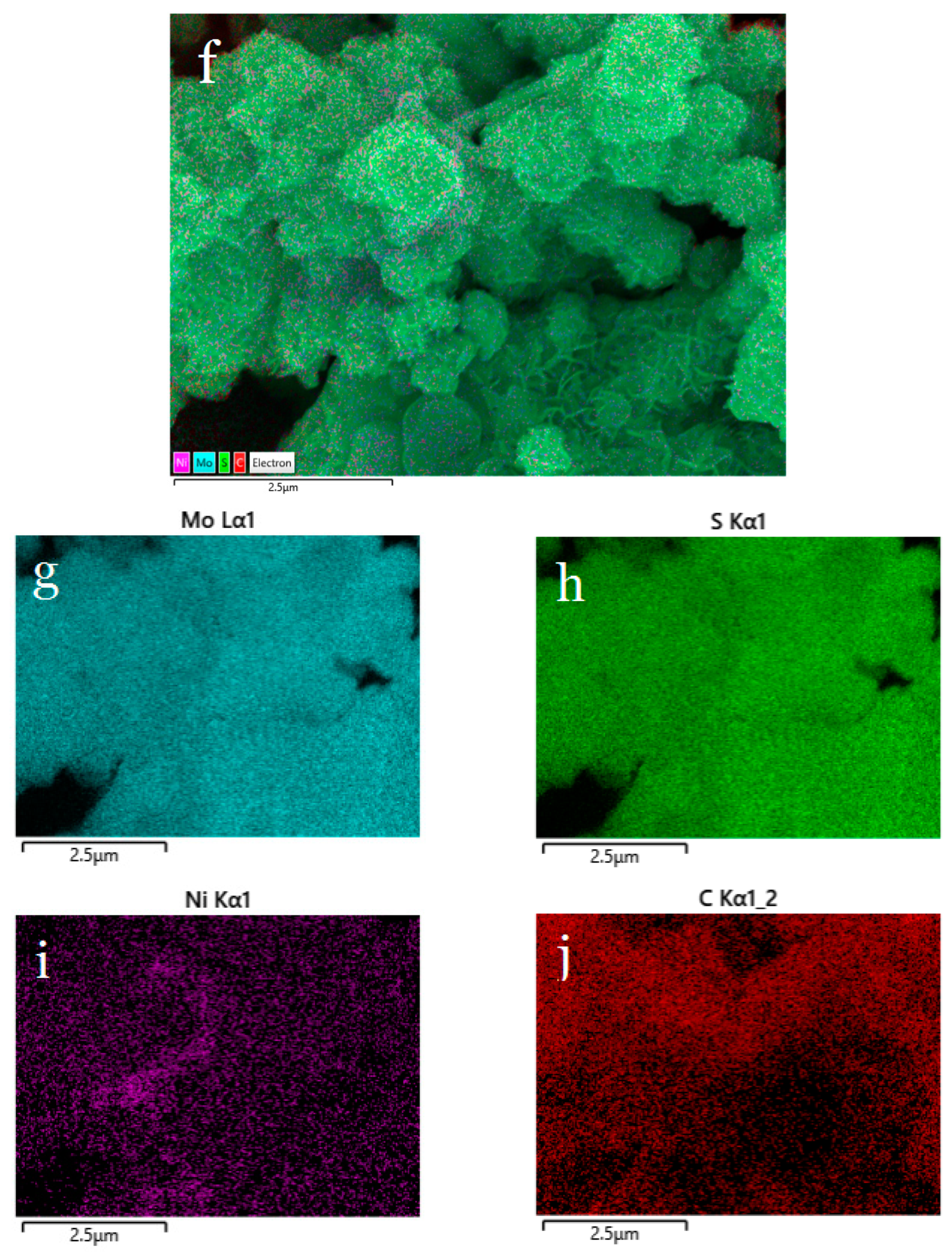 Molecules 30 00963 g012b