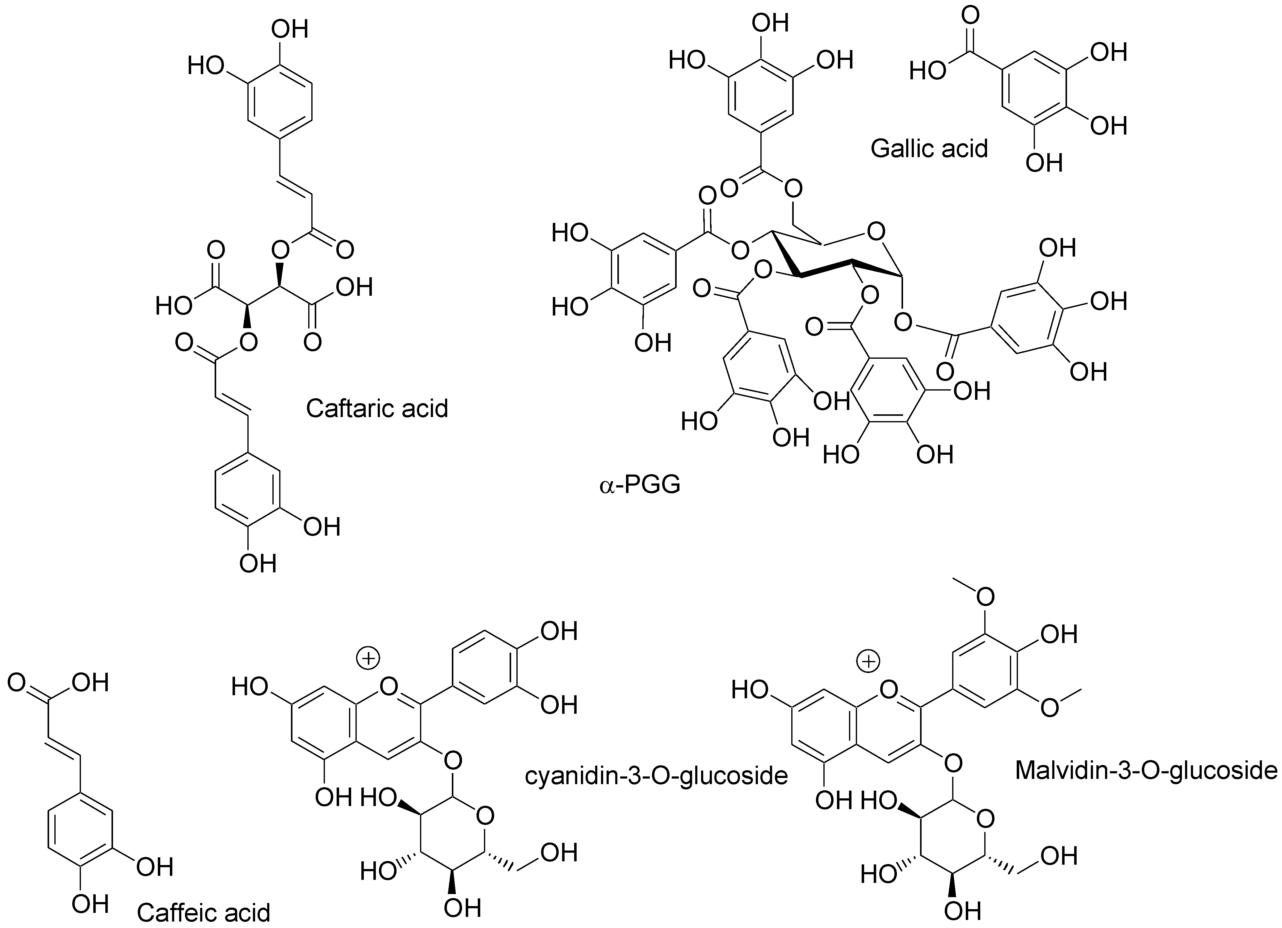 Molecules 30 00965 g001b