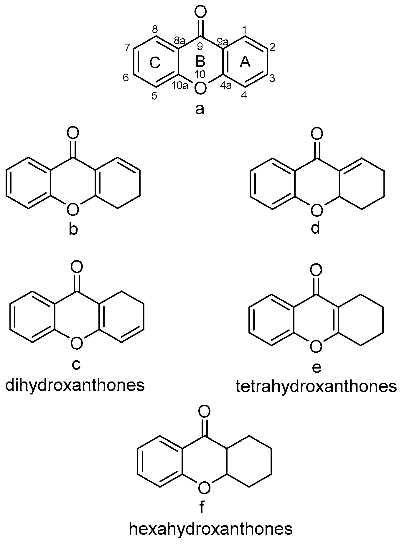 Molecules 30 00967 g001 Molecules 30 00967 g001