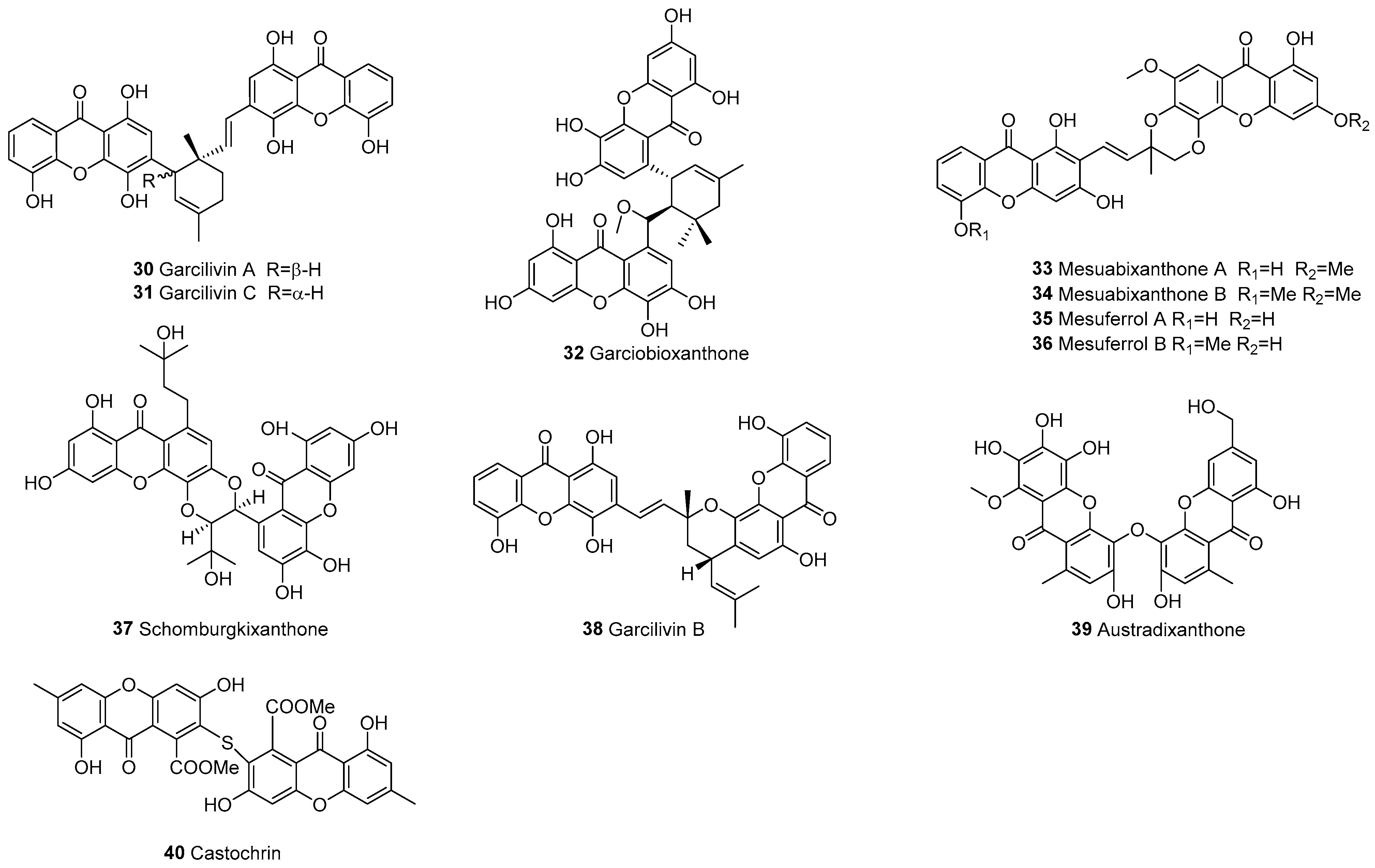 Molecules 30 00967 g002c Molecules 30 00967 g002c