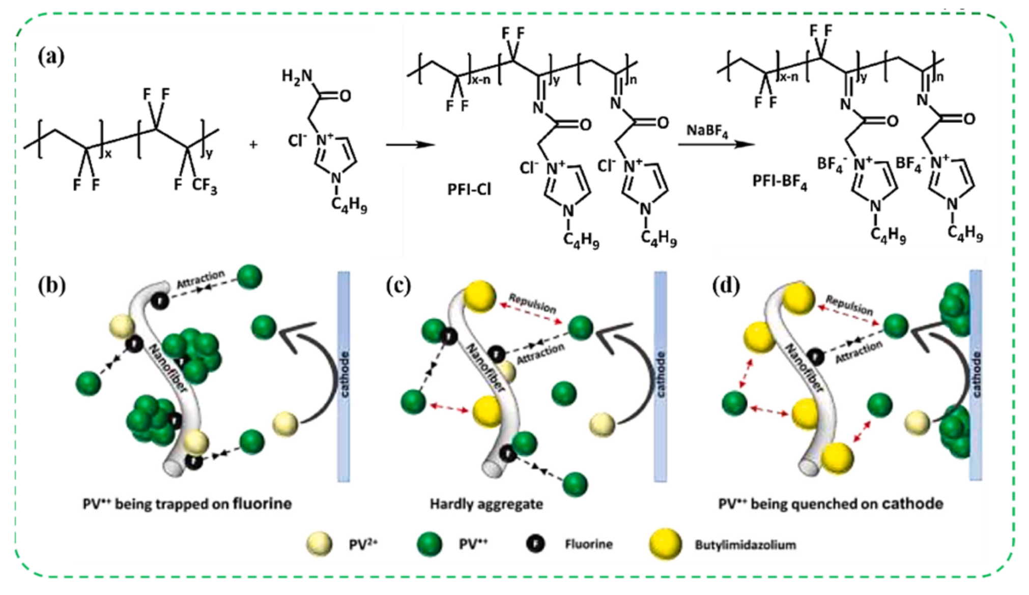 Molecules 30 00973 g021 Molecules 30 00973 g021