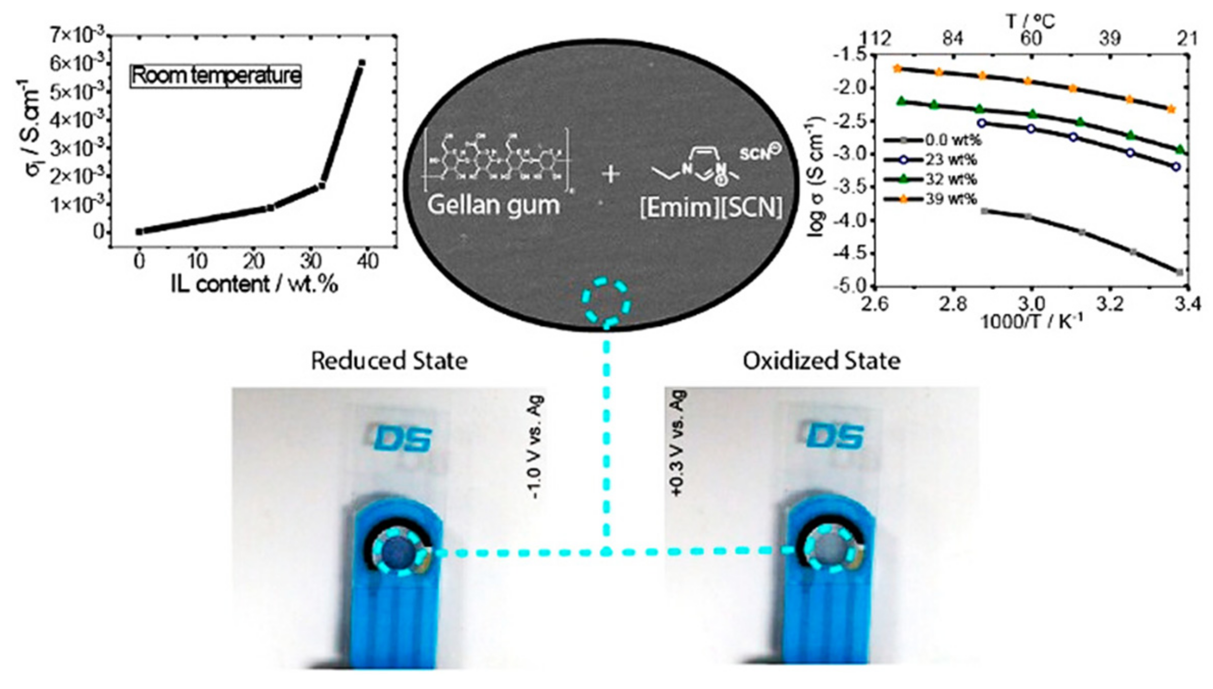 Molecules 30 00973 g035 Molecules 30 00973 g035