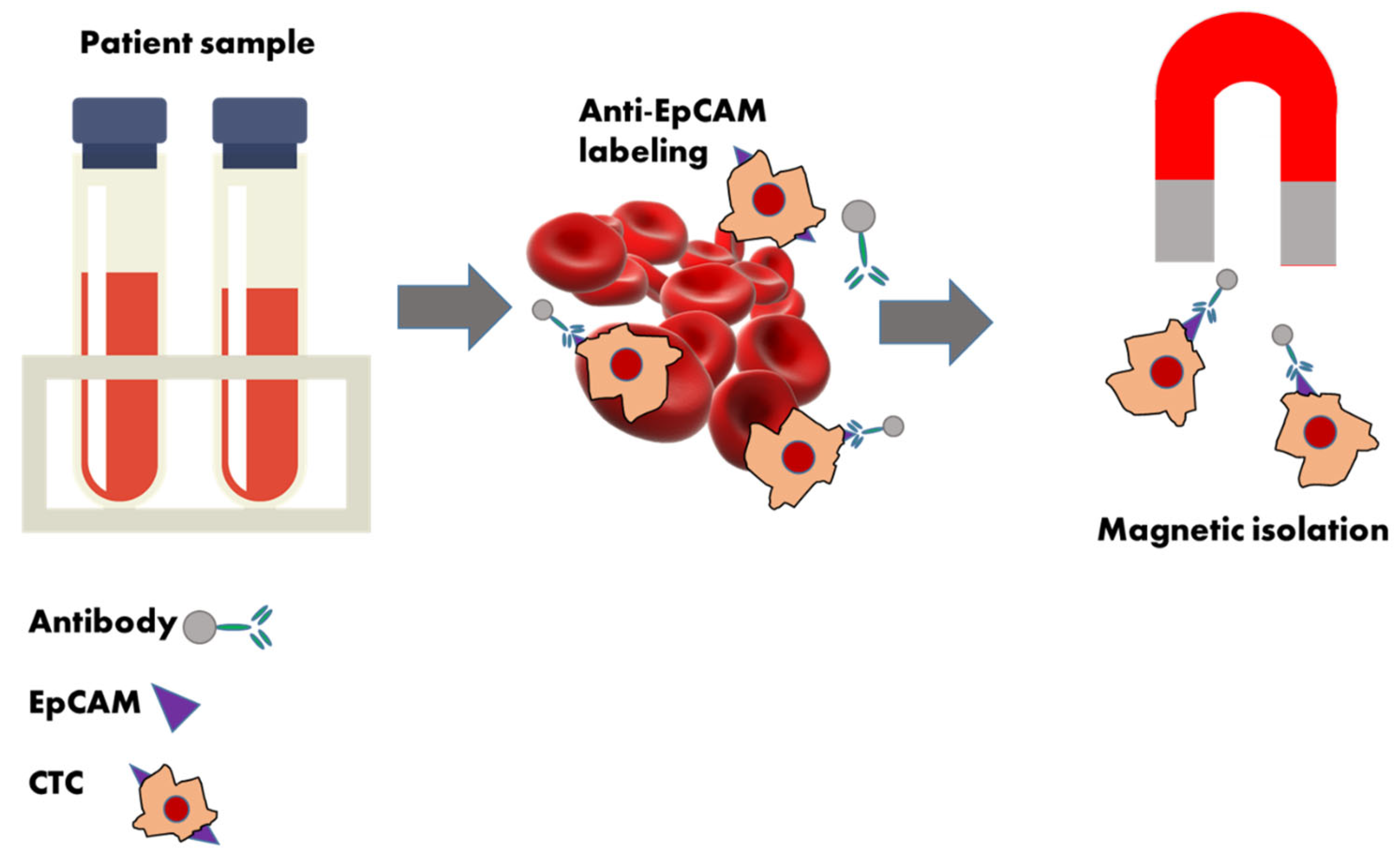 Molecules 30 00976 g002