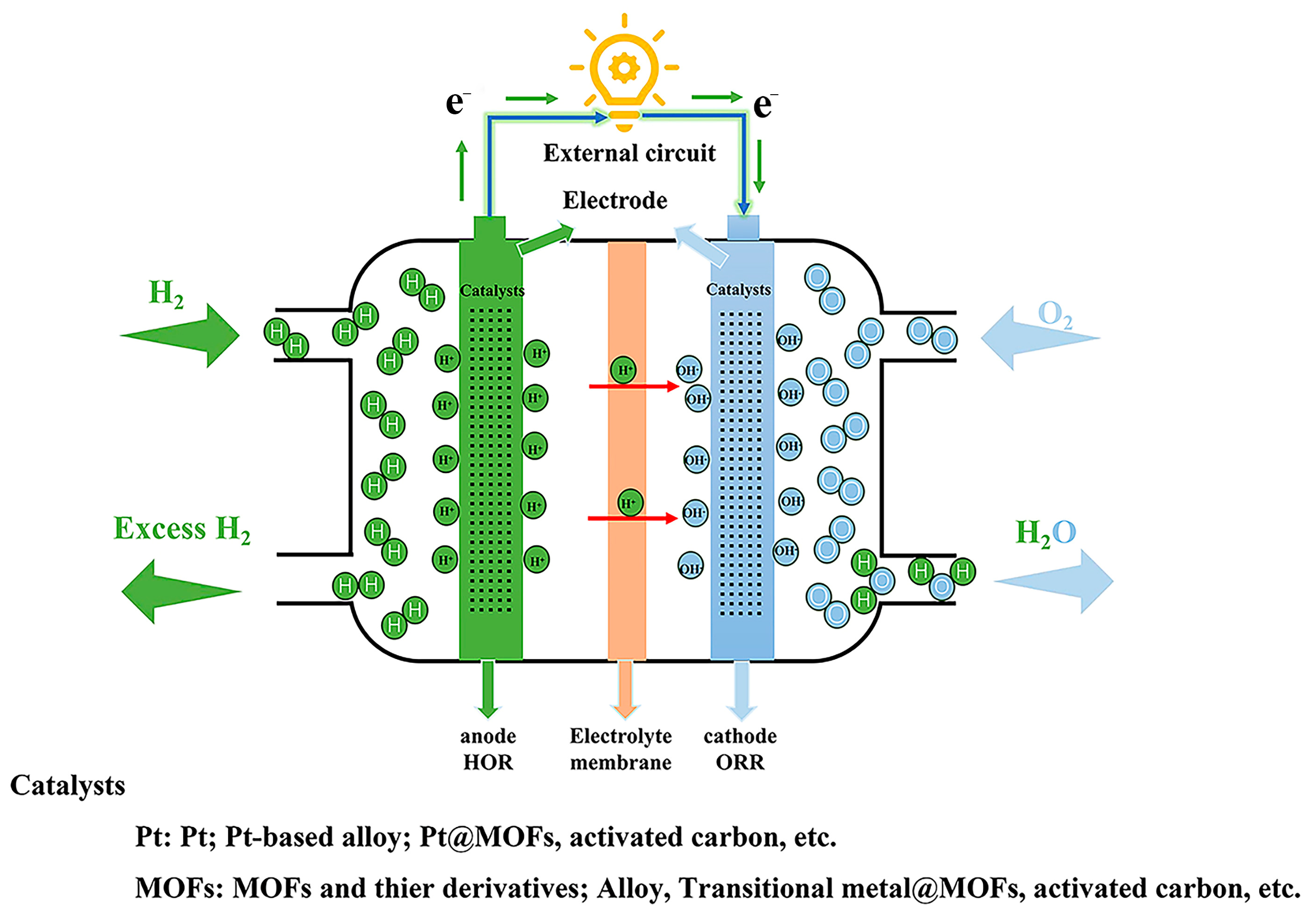 Molecules 30 00981 g001