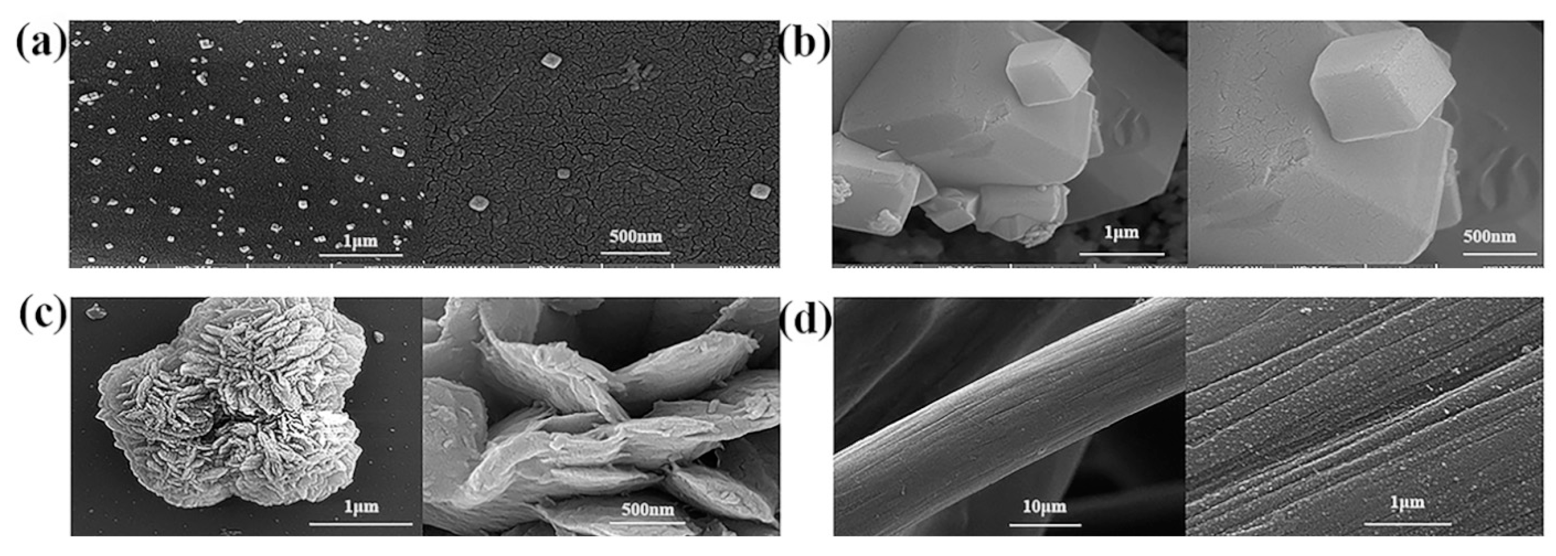 Molecules 30 00981 g004
