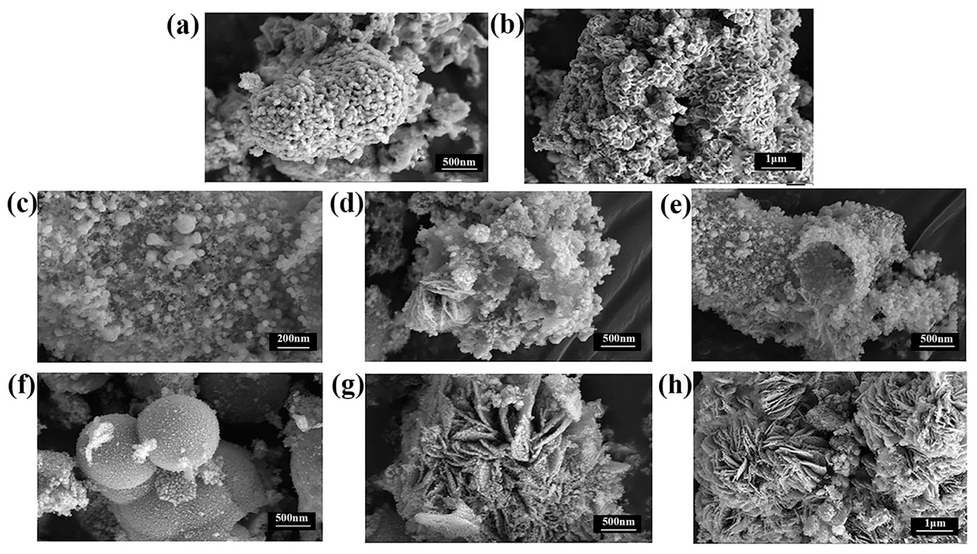 Molecules 30 00981 g006