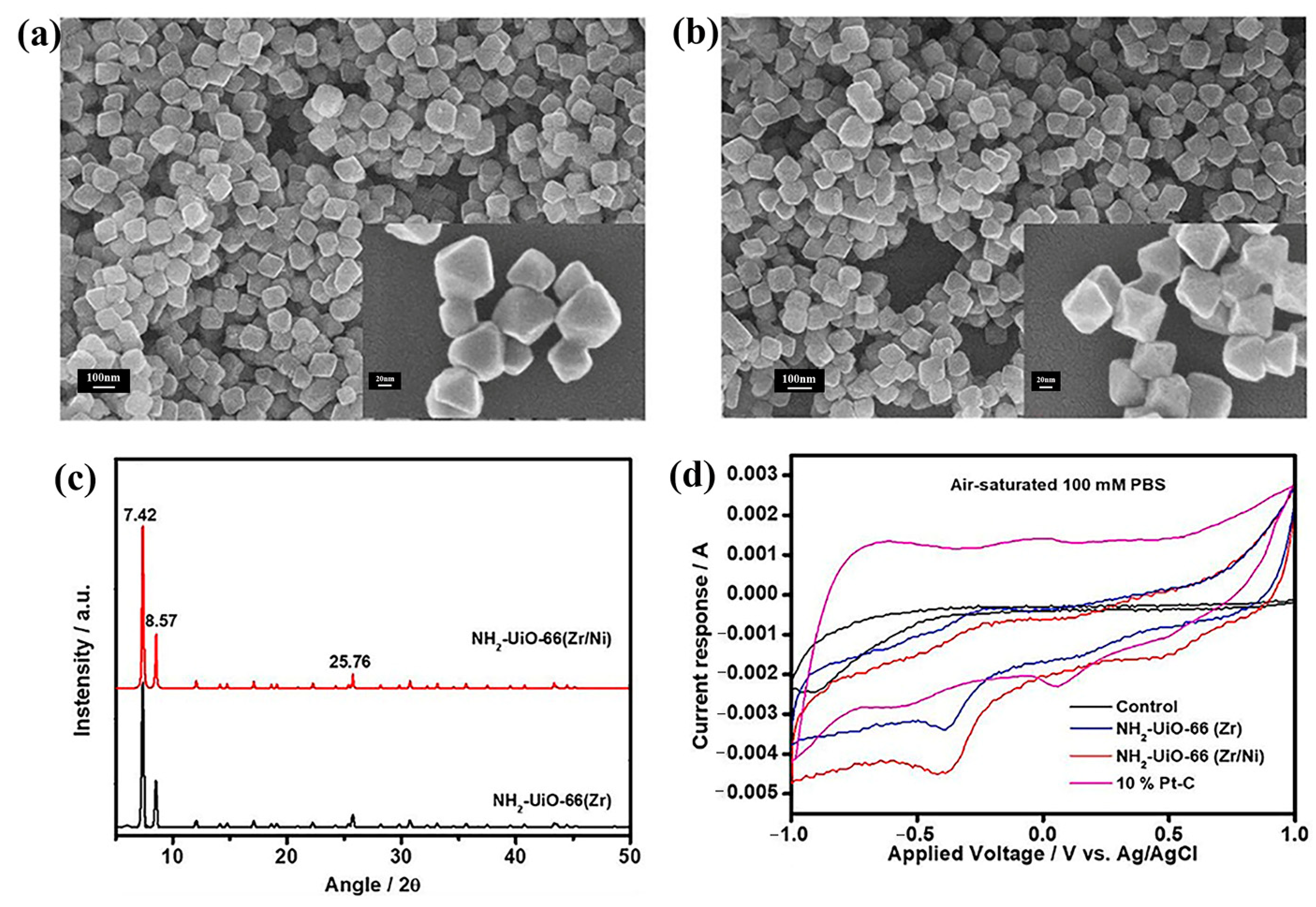 Molecules 30 00981 g008