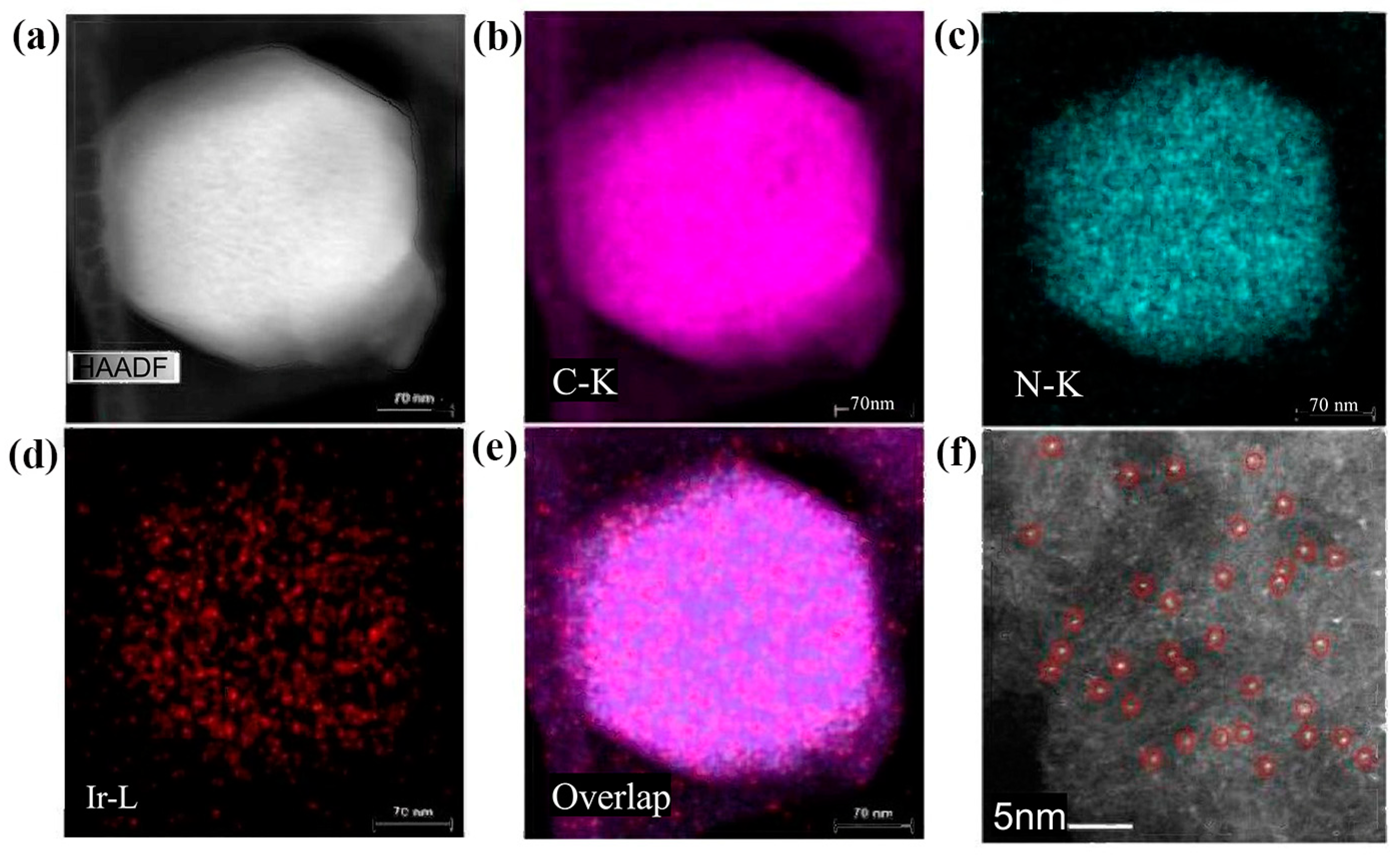 Molecules 30 00981 g009
