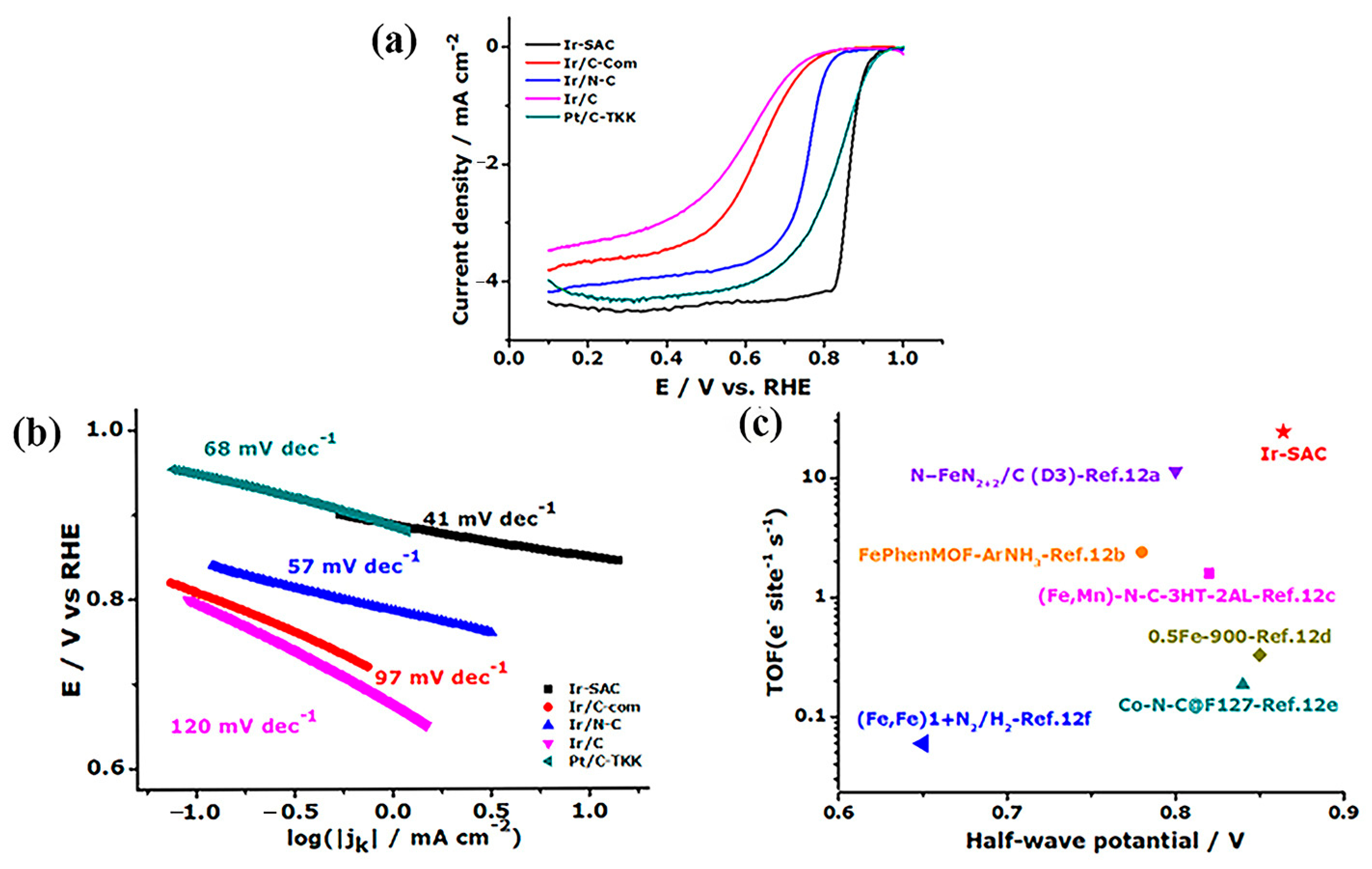 Molecules 30 00981 g010